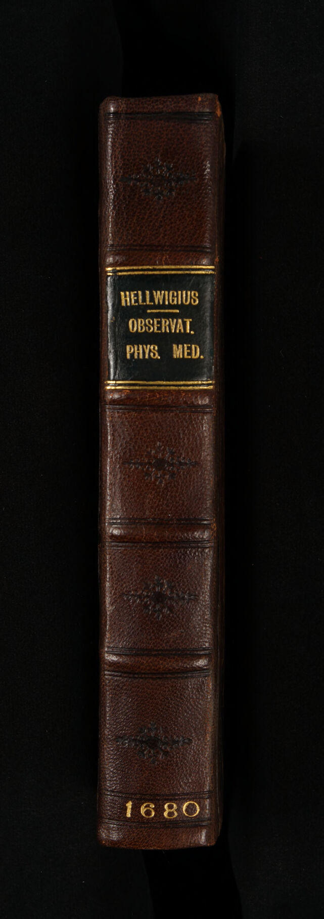 No text description is available for this image