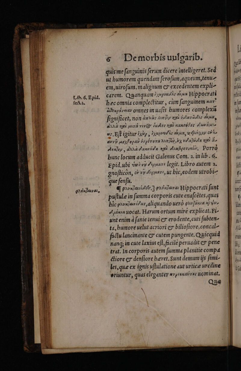 fect.z, DUPITTTM &amp; Demorbis uufearib. quis me fanguinis ferum dicere intelligeret. Sed: ut bumorem quendar ferofum,aqueum,tenuz em,uirofum, malignum c excedétitem expli carent. Quanquam Hogan Ass ctun Hip pocrati bec omnia complectitur , cim fanguimem sac ABrgirerae omnes in ua[fis bumores complexi fignificet, non «mur Aem iou x56 oeleredie A &amp;AA x9 ura ivy ludlse not sand Aue curate er. Eft igitur (xip , xugoeid'c Ge uo, ar dI XOU PI» eur axdugaw Drpóruva Avr [lr y vd aon qox o ehuxoy , &amp;xxà dowd n no chin Bgoriniu, Porró bunc locum adducit Galenus Com. 2. in lib . 6. Epid.ubi va? v9 «uar! legit. Libro autem a. gnofticón, cv v» 4gunri, ut bic, eodem utrobie que fenfi. | a qhvx]eiviotét | pnVanTaevas Hippocrati funt puftule in fumma corporis cute enafcetes,quas bic gnex]aerid uc, aliquando uero env[ixia x) Y v» dgio uocat. Harum ortum mire explicat.Fi unt enim à fanie tenui e erodente,cuti fubten^ t4, bumore uelut acriori c7 biliofiore, concal^ factu lancinante c? cutem pungente. Quicquid nang; in cute laxius eft, facile peruadit c» pene trat. 1n corporis autem [umma planitie compa &amp;iore cz denflore beret. Sunt demum ijs fimi- les,que ex ignis uflulatione aut urtice urcdine eriuntur, quas eleganter nvpisnaósos nomuat. Qe ^