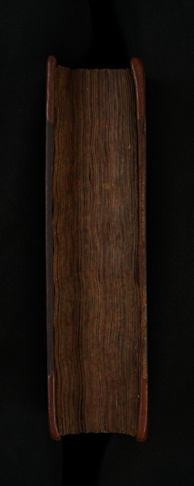 No text description is available for this image