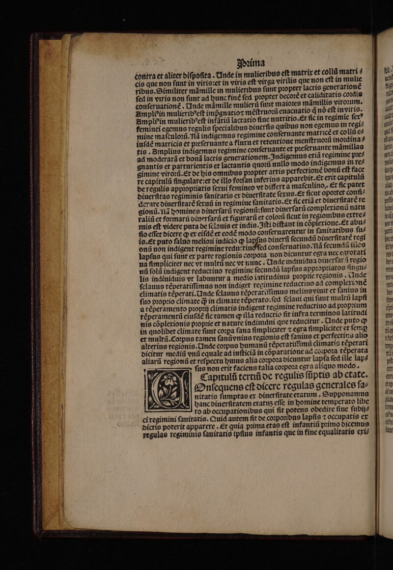 Mꝛimna contra et aliter bifpofita . Ande in mulieribus eft matrix et collũ matri⸗ cis que non funt in viris:et in viris eft virga virilis que non eſt in mulie ribus. Similiter mãmille in mulieribus fuut pꝛopter lactis geuerartone fed in viris non ſunt ad hunc finẽ fed propter decoꝛẽ et caliditatis coꝛdis couferuationé . Unde mámille mulierũ funt maioꝛes mãmillis viroum : Ampliꝰ in mulieribꝰeſt impgnatioꝛ mẽſtruoꝛũ euacuatio q̃ nõ eft invixis. simpli^in mulieribꝰeſt infatiũ lactatio fiue nutritio. St fic in regimie fe? feminei egemus regulis ſpecialibus diuerſis quibus non egemus in regu mine maſculoꝛũ. na indigemus regimine conſernante matrice et collũ e⸗ infdé matricis et pꝛeſeruante a fluxu et retentione menſtruoen inoꝛdina⸗ tis. Amplius indigemus regimine conſeruante et pꝛeſeruante mãmillas ad moderatã et bonã lactis generationem. ndigemus etiã regimine pꝛe⸗ gnantis et parturientis et lactantis quoꝛũ nullo modo indigemus in re⸗ gimine viroꝛũ. Et de his omnibus pꝛopter artis perfectionẽ bonn eſt face re capitulũ fingulare:et de illo foꝛſan inferius apparebit.£t erít capitulũ de regulis appꝛopꝛiatis ſexui femineo vt differt a maſculino. Et fic patet diuerſitas regiminis fanitatis ex diuerſitate ſexus. Et ſicut opoꝛtet conſi⸗ derare diuerſitatẽ ferui in regimine ſanitatis.æt ſic etiã et diuerſitatẽ re gionũ. nã homines diuerſarũ regionũ:ſunt diuerſarũ complexionũ natu raliũ et foꝛmarũ dinerſarũ et figurarũ et coloꝛũ ficut in regionibus extre⸗ mis eft videre puta de ſclauis et indis. ſti diſtant in cõplexione. Et abu⸗ fio effet dicere qp ex eiſdẽ et eod modo conſeruarentur in fanítatibus ſu⸗ ig. Et puto ſaluo melioꝛi iudicio qp lapfus diuerſi fecundi oiuerfitaté regt onũ non indigent regimine reductiuo ſed confi eruatiuo.ã ſecundũ iiios lapſus qui ſunt ex parte regionis coꝛpoꝛa non dicuntur egra nec esrotati ua ſimpliciter nec ot multũ nec vt nunc. Unde indiuidua dinerſarũ regio nũ foli indigent reductiuo regimiue ſecundũ lapſus appꝛopꝛiatos ſingu⸗ lis indiuiduis vt labuntur a medio iatitudinis pꝛopꝛie regionis. Inde ſclauus tẽperatiſſimus non indiget regimine reductiuo ad complexionẽ climatis tẽperati.Unde ſclauus tẽperatiſſimus melius viuit et ſanius in fuo pꝛopꝛio climate dp in climate téperato:fed ſclaui qui fuut multũ lapft a tẽperamento pꝛopꝛij climatis indigent regimine reductiuo ad pꝛopꝛium tẽperamentũ eiuſdẽ fic tamen qp illa reductio fic infra terminos latitudi nis cõplexionis pꝛopꝛie et nature indinidui que reducitur. Ande puto qp in quolibet climate funt copa fana fimpliciter 7 egra fimpliciter et ſemꝑ et multũ.Coꝛpus tamen ſanũvnius regionis eft ſanius et perfectius alio alterius regionis.CInde coꝛpus humanũ tẽperatiſimũ climatis tẽperati aliarũ regioni et reſpectu buius alia coꝛpoꝛa dicuntur lapſa ſed ille lap⸗ » fue non erit faciens talia coꝛpoꝛa egra aliquo modo. Capitulũ tertiũ de regulie füptie ab etate. Onſequens eſt dicere regulae generales ſa⸗ nitatis fumptas ex diuerſitate etatum. Supponamus hanc diuerſitatem etatuz eſſe in homine temperato libe — — —- roabecaipatíonibus quí fit potere obedire fiue ſubij⸗ ci regimini famitatis. Quid autem fit de coꝛpoꝛibus lapfis 7 occupatis ex P 11 —Y»»sKxZsq- qut Ud qiii dau je saca 1 dep vast qa (ise po hilt eq wei uni pet e gt bt vit tto v bue fit (pt Witte