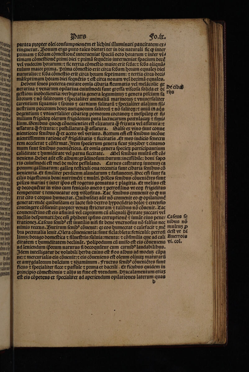 parata pꝛopter olei conſumptionem et lichini illuminati paucitatem ex⸗ tinguetur. Bonum ergo puto tales dietari ter in die naturali ſic ꝙ inter pꝛimam ⁊ ſcdᷣam cõmeſtionẽ interueniat ſpaciũ octo hoꝛarum ⁊ inter vl⸗ timam cõmeſtionẽ primi diei ⁊ pꝛimã ſequẽtis interueniat ſpacium decẽ vel vndecim hoꝛarum:⁊ fic tertia cõmeſtio maioꝛ erit ſcdᷣa:⁊ fcóa aliquã⸗ tulum maio: pꝛima. Pꝛima cõmeſtio erit circa ſcdam hoꝛam equalez diei naturalis:⁊ ſcdᷣa cõmeſtio erit circa locam ſeptimam: ⁊ tertia circa deci⸗ Debent ſenes pꝛeterea euitare omia cibaria ſſeumatis vel melãcolie ge Be ciba neratiua ⁊ venarum opilatiua cuiuſmodi ſunt groſſa viſcoſa ſolida et di e ci geſtiom inobedientia:verbigratia genera leguminuz ⁊ genera pifcium fa. is litoꝛum c nõ ſalitoꝛum ⁊ ſpecialiter animaliũ marinoꝛuʒ ⁊ vniuerſaliter carentium ſquamis ⁊ fpinis ⁊ carnium ſalitarũ ⁊ ſpecialiter aĩalium fil4 ueſtrium poꝛcoꝛum bouʒ antiquoꝛum ſalitoꝛũ ⁊ nõ ſalitoꝝ:⁊ auiũ in ade degentium c vninerſaliter cibarioꝝ pomoꝛum coctanoꝝ ⁊ meſpiloꝝ et ſi⸗ | milium frigidoꝝ olerum frigidoꝛum puta lactucarum poꝛtulacaꝝ 7 fimi? lium.Senibus quoq; cõuenientioꝛ eft elixatura qᷓ; frixura vel aſſatura:⁊ aſſatura q; frixura:⁊ paſtillatura qᷓ; aſſatura. Salſe ex vino funt conue nientioꝛes ſenibus q; ex aceto vel veriuto. Acetum eif eft ſenibus incõue nientiſſimum ratione ei? frigiditatis ⁊ ſiccitatis. Et mco indicio ſenectu tem accelerat ⁊ cõfirmat. Item ſpecierum genera ficut ʒinʒ iber ⁊ cinamo mum funt ſenibus ↄuenietioꝛa. Et omia genera ſpecieꝝ participantium | caliditate ⁊ bumiditate vel parua ſiccitate. Mel ſenibus multũ eſt cõ⸗ neniens.Debet aũt effe album: grãdinoſum:durum:inciſſibile: boni fapo ris cuiuſmodi eft mel de mõte peſſulano. Carnes caſtratoꝝ iuuenus ca ponum: gallinarum: galloꝝ teſticuli oua recentia funt cibaria ſenibus có uenientia. et fimiliter perdicum alaudarum ⁊ faſianoꝛuʒ.Hec ei funt fa cilis digeſtionis boni nutrimẽti ⁊ multi. piſces ſenibus cõueniẽtes funt | pifces marini ⁊ inter ip̃os eft rogetus goꝛnatus ⁊ plagitia. £t melius eft | decoquẽtur in vino cum feniculo aneto ⁊ petrofilino vt eoꝝ frigiditas temperetur ⁊ remoueatur eoꝝ viſcoſitas. Zac ſenibus conuenit eo q nu trit cito t coꝛpus ghumectat.Quibuſdaʒ aũt no conuenit eo qp opilationẽ generat:vnde quibuſdam ex lacte fub dextro bypocüdrio doloꝛ ⁊ extenſio | contingere cõſueuit:pꝛopter venaꝝ ſtricturam ⁊ talibus nõ cõuenit. Zac | connenietius eft eis aſininũ vel capꝛinum cũ aliquali q;titate ʒuccari vel mellis deſpumati:hec em̃ pbibent ipfius coꝛruptionẽ ⁊ iunãt eius pene/ Caſeus fe trationeʒ.Caſeus ſenibꝰ eft inutilis nifi fit bene vnctnoſus nó ſalſus nec nibus no bꝛa pectoꝛalia lenit.Olera cõuenientia:ſunt ficla:bleta:feniculü: petrofi deſt vt di linuʒ:boꝛago domeſtica ⁊ ſilueſtris:ſaluia:menta: ⁊ cofimilia que ad cali Anerrois ditatem ⁊ humiditatem declinãt. Polipocium cũ aniſo eft eis cõueniens vi. col. ad leniendum ipᷣoꝛum naturas ſi decoquũtur cum carnibꝰ laudabilibus. 3dem intelligatur de volubili berba cuius eft flos albus ad modius capa ne: mercurialis eis cõuenit:⁊ eis cõueniens eft oleum oliuaꝝ maturarf et amygda loꝛum oulcium 2 ʒizaminum. Fructus fenib? cõueniẽtes funt fricus ⁊ fpecialiter ficce c paſſule ⁊ pana et oactili . Et ficubus quidem in pꝛincipio cõmeſtionis ⁊ alijs in fine eft vtendum. Dyacalamentum etia⸗ eſt eis cõpetens et ſpecialiter ad aperiendum opilationes en