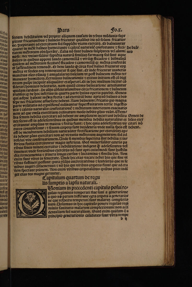 liq 90 | alie bꝛonin debilitatem vel pꝛopter aliquam cauſam in rebus mũdanis ſup⸗ et / pleant fricationibus ⁊ balneis fricentur qualibet die nõ ſolum fricatio⸗ Hunde ne. Pꝛeparante ad exercitium ſed ſupplẽte vicem exercitij. Et balneantur dhe quater in mẽſe balneo humectante c caloꝛẽ naturalẽ confoꝛtante ⁊ ſicci/ Pe bal⸗ e tatem mẽbꝛoꝛum obtẽperãte.. Zalia nõ funt balnea fülpburea vel alumi neo lubuſgz noſa: nec vniuerſaliter f: apiẽtia natura ſimiliuʒ farmacox fed funt aque May dulces in quibus apport laudo camomillã ⁊ vtrũq; ſticados ⁊ biſmaluã mien || quidem ad mẽbꝛoꝛum ſiccitatẽ ſticados ⁊ camomillã q mébza confoꝛtat Ww et laſſitudinem remouet. Et bene laudo q; circa finè baluei fricentur eoꝝ unde mèbꝛa vt ſoꝛdes eoꝝ remoucantur ſi que ſint. Et inde fricentur inunctis ung manibus oleo oliuaꝝ amigdalarus dulcium vt poft balneum mebꝛa re⸗ one maneant humidioꝛa.Zerminus balneationte t exitus trtum eft cũ digi em tonum pulpe incipiũt aliqualiter exaſperari. Et in boc multum dicitur cõ tim ſiderari hominis delectatio nam quida citius balneatione attediantur amen, quidam tardius . De alijs cõſiderationibus circa fricationem c balneum eum tranſeo:qꝛ de hoc inferius in quarta parte buius operis patebit. Senes enen qui adhuc babent mebꝛa foꝛtia ⁊ ad exertitiũ bene apta nõ balneo a deo eue ſepe nec fricatione aſſueſcere debent. lam balneum: fricatio pꝛo magna am E parte vtilitatis ad erpulſionè oꝛdinantur ſuperffuitatum tertie digeſtio eng nis ⁊ caloꝛis naturalis confoꝛtatione 7 mẽbꝛoꝛum interioꝛum euacuatio sw nem ad que omia exercitium oꝛdinatum modo debito plus valet.Mem⸗ erf Dra ſenum debilia erercitart no debent: ne amplioꝛem incurrant debilita Senes de uin tez:ſecus eft in adoleſcentibus ir quibus membꝛa oebilia naturaliter ex biles exer che ercitantur amplius vt maioꝛa ⁊ foꝛtia fiant:⁊ boc quia adolefcentius vir citari no bree tutes conualefcunt : fenum coꝛpoꝛa ſunt decidentia vnde nulla fpes eft debent. lai eft de membꝛoꝛum debilium naturaliter foꝛtificatione per exercitiuʒ ap⸗ ende ta debent plus exercitari non ad virtutis mẽbꝛoꝛum augmentum:ſed ad uma refidui vite conſeruationem. Unde ſi membꝛa ſuperioꝛa ſint debilia:⁊ in⸗ dann keriora foꝛtia:exercitentur magie inferioꝛa. Sed vniuerſaliter ceteris pa iim || ribus ſenes minor exercitio ⁊ debilitatione indigent q; adoleſcentes vel 171 MA iuenes:vride foꝛtioꝛibus exercitijs no ſunt apti cuiuſmodi ſunt haſtilu Wes per dia:toꝛneamenta:ritinera longa:curſus ⁊ luctamina ⁊ fimilia his. non ms enim fant vires in fenectute. nde bec etas vacare debet his que ſine vi 7 ribus ſuſtineri poffunt: pura olilís auctoritatibus ⁊ ſententijs que in fe 50 | nibus augeri cõſueuerunt:⁊ nó his qui viribus coꝛpoꝛis fiunt que ad eta . | tem ſpectant pꝛioꝛem. Non enim viribus coꝛpoꝛalibus quibus pꝛioꝛ iudi vae] get etas res magne geruntur. | Capitulum quartum de regu lis ſumptis a lapſu naturali. Voniam in pꝛecedenti capítulo poſui re⸗ gulas regiminis temperati ſiue ſani a generatione a quo rà parum differunt egra coꝛpoꝛa a generatio⸗ ne que refpectu temperati funt malaruʒ complexio num. Nolumus in hoc capitulo ponere regulas regi minis ſanitatis malarum complexionum:non acci dentalium fed naturalium. Sunt enim quidam d a pꝛincipio generationis. caliqioꝛes funt vltra as | 
