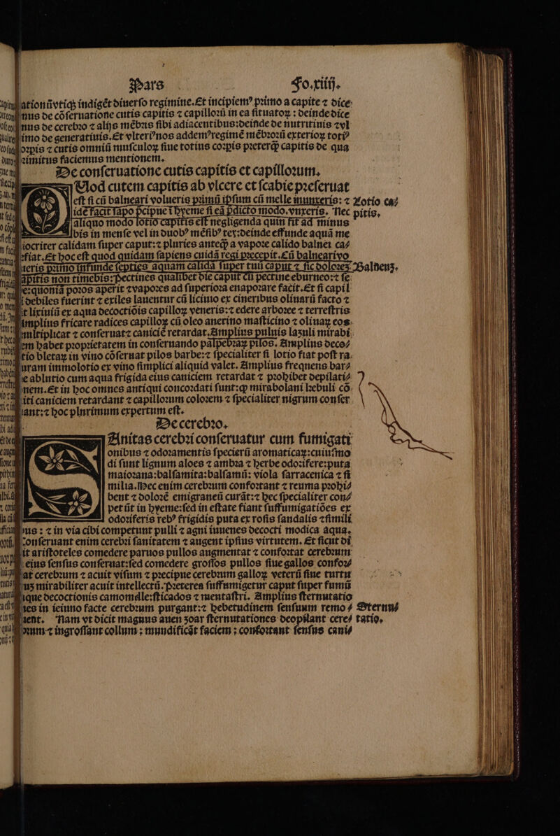 | Pars | Fo. xiiij. in at ion ũ vt iq; indigẽt diuerſo regimine. Et in cipiemꝰ pꝛimo a capite ⁊ dice ey nus de cõſeruatione cutis capitis ⁊ capilloꝛũ in ea ſituatoꝝ: deinde dice gte nus de cerebꝛo ⁊ alijs mẽbus fibi adiacentibus:deinde de nutritiuis ⁊vl ſalna imo de generatiuis. Et vlteri' nos addemꝰregimè mẽbꝛoꝛũ exterioꝝ toti? fal oꝛpis c cutis omniũ muſculoꝝ fiue totius coꝛꝝis pꝛeterq; capitis de qua dur ꝛimitus faciemus mentionem. — 5 De conſeruatione cutis capitis et capilloꝛum. Vod cutem capitis ab vlcere et ſcabie pꝛeſeruat Left fici balnearí volueris ꝑimũ ipfum cũ melle munxeris: ⁊ Zotío ca⸗ idẽ Zcit apo pcipue ĩ dicto modo. vnxerig. Tlec pitis, d aliquo modo lotio capitis eft negligenda quit fit ad minus fei bis in menſe vel in duobꝰ mẽſibꝰ tex:deinde eff unde aquã me 0 fij idam fuper caput: pluries antedp a vapoꝛe calido balnei ca⸗ ay efiat. Et boceft quod quidam fapiens cuidã regi pzecepit.€ü balnearivo S pi colos Balnenz. i pectine eburneo:⁊ fe. Tig 1j.3 Uu ^ ant:⁊ hoc plnrimum expertum eſt. 1 IAS De cerebꝛo. Anitas cerebꝛi conſeruatur cum fumigati onibus ⁊ odoꝛamentis ſpecierũ aromaticaꝝ:cuiuſmo di ſunt lignum aloes ⁊ ambꝛa ⁊ herbe odo:ifere:puta maioꝛana:balſamita:balſamũ: viola ſarracenica ⁊ fi milia.IDec enim cerebꝛum confoꝛtant ⁊ reuma pꝛohi⸗ bent ⁊ doloꝛẽ emigraneũ curãt:⁊ bec ſpecialiter con⸗ pet ũt in hyeme:ſed in eſtate fiant ſuffumigatiões ex E A odo:iferis reb? frigidis puta ex rofis ſandalis ⁊ſimili Hus: ⁊ in via cibi competunt pulli agni iuuenes oecoctí modica aqua. onſeruant enim cerebꝛi ſanitatem ⁊ augent ipfius virtutem. Et ficut di Bit ariſtoteles comedere paruos pullos augmentat 7 confoꝛtat cerebꝛum i eius ſenſus con ſeruat:ſed comedere groſſos pullos ſiue gallos confoꝛ⸗ at cerebꝛum ⁊ acuit viſum c pꝛecipue cerebꝛum galloꝝ veterũ fiue turtu uz mirabiliter acuit intellectũ. Pꝛeterea ſuffumigetur capnt fuper fumũ que decoctionis camomalle:ſticados ⁊ mentaſtri. Amplius ſternutatio id Mises in ieinno facte cerebꝛum purgant:? bebetudinem ſenſuum remo/ Sternn⸗ ent. Tiam vt dicit magnus auen soar ſternutationes deopilant cere/ tatio, a dꝛum t ingroſſant collum ; mundiicãt faciem ; conkoꝛtant ſenſus cani⸗