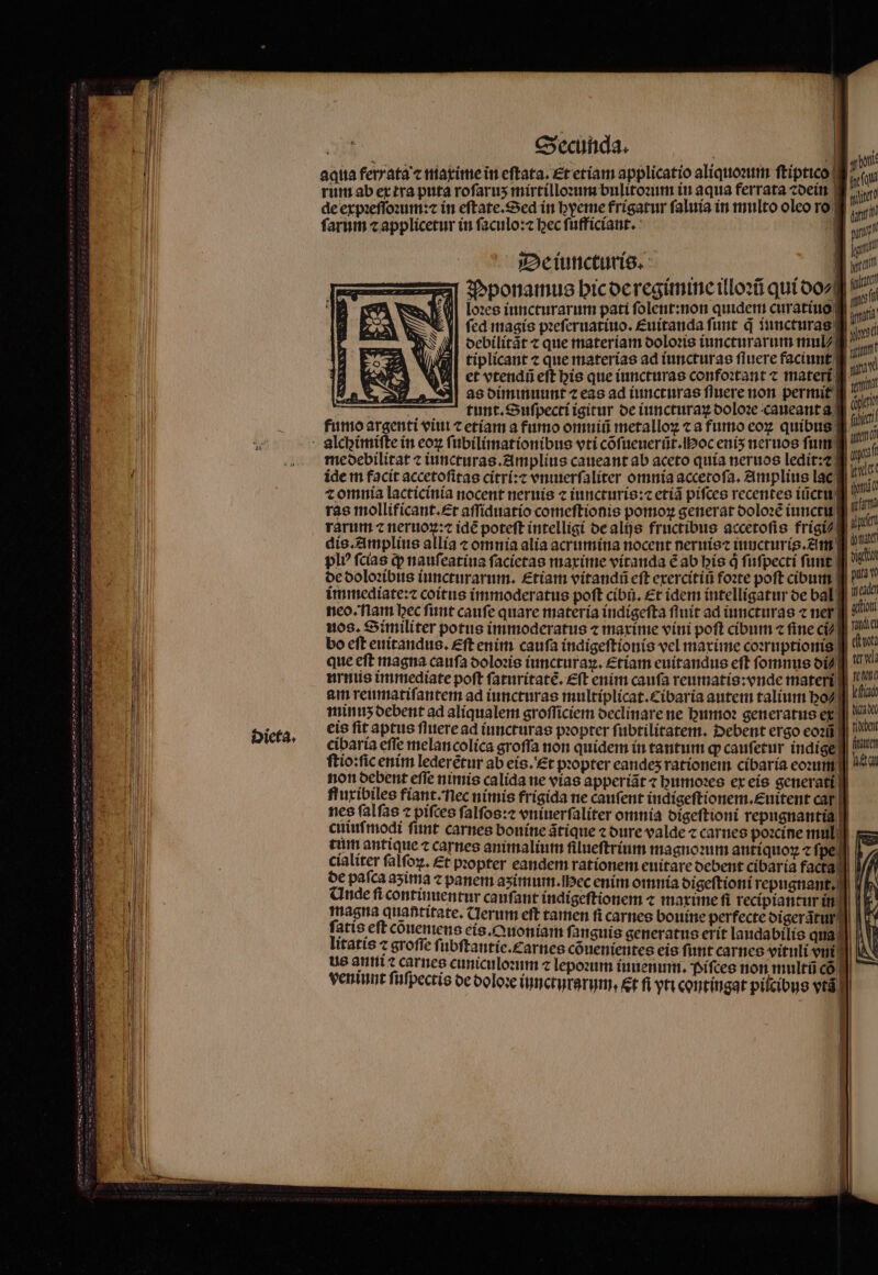 Secunda. | git aqua fery ata ⁊ maxime in eſtata. Et etiam applicatio aliquoꝛum ſtiptico (qui rum ab ex tra puta rofarus mirtilloꝛum bulitoꝛum in aqua ferrata ⁊dein M de expꝛeſſoꝛum:⁊ in eſtate. Sed in hyeme frígatur ſaluia in multo oleo ro pem farum capplicetur in faculo: bec ſufficiant. ] 705 , De iuncturis. | ris Tons) yo (i quet | inimi B unici! anch DA ! ffuxibiles fiant. nec nimis nes ſal ſas ⁊ cuiuſmodi tum antique ⁊ carnes cialiter ſalſoꝝ. Et de paſca aʒima ⁊ | Unde fi contin | | us anni ? carnes cunic veniunt ſuſpectis de d