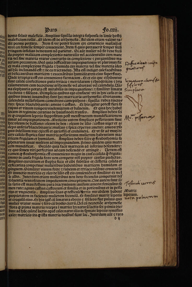 ) h ui Pars 2 Fo. xxij. i domo ſoluit maleficia. Amplius ſquilla integra ſuſpenſa in limĩe boftíj an malef icium tollit , £t idem eft de arthemeſia . Ad idem etiam valent ra⸗ d dix peonie poꝛtata. Item fi vir poꝛtet ſecum coꝛ coturnicis maſculi et vxoꝛ co: femelle femper conuenient. Item fi quis poꝛtauerit femper ſecũ rringum inſdias demonum nó patietur. Si aũt mulier nõ fit bene fecũ da pꝛopter maliciam complexionis naturalis vel accidentalis cum mate ria vel ſine materia vtatur contrarijs in complexione ⁊ purgantibus ma à, B feriam peccantem. Sed quia difficultas impꝛegnationis vt plurimus fit hen ex mala complexione frígida ⁊ humida cus materia vel fine materia ideo yj ad bac inclinandũ eſt:⁊ de ea tractanduʒ. Iſta em̃ indiget calefaciẽtibus xl €t deliccantibus matricem ⁊ euacuãtibus humiditatem eius ſuperſſ uaz. ö Qude ierapigra eft eis conueniens farmacum . Et ex eis que exhibentur ſunt calide confectiones puta tyriaca ⁊ metridatum ⁊ theodoꝛicon ⁊ dya calamentum cum decoctione arthemeſie vel abꝛotani vel calendula.Uꝛi⸗ na elephantis potata eſt mirabilis in impꝛegnatione: ⁊ ſimiliter limatu ra eboꝛis ⁊ fifeleos. Simplicia quibus ego confueni vti in hoc caſu et in quibus inueni iuuamẽtuʒ ſunt hec:matricaria:arthemeſia: abꝛotanum: calendula millefolium:camedreos:camepitheos: fquilla: rubea tincto⸗ | r113: fpica: blactebísantie: ameos ⁊ coſtus. Ex his igitur poteft fieri ſy ( rupus et vinum tempozevindemiarum et balneum. Et quia hoc habet V locum in regimine curatiuo de huiuſinodi tranſeo. Amplius debes fci , » T La coagulum lepoꝛis ſuppoſitum poft menſtruoꝛum mundificationem Mer ff | Tit iuuat ad impꝛegnationem. Medicine autem ſimplices peſſarioꝛum ſunt * e d hectoleum oe balſamo: oleum de ben: oleum de lilio: coſtus niger et a⸗ ni deps anſeris blactebiʒantie:muſcus ⁊ ſpica: cyperus:anetuʒ: ameos: yſo luz pus:bdellium:nux cipꝛeſſi et gariofili et coꝛdumeni. Et vt fit ad vnuʒ di ling phenarum iuuat multum ad impꝛegnandum.pꝛimo quidem quía matri QE cem mundificar. Secudo quía facit matricem ad inferius deſcendere: ade ex quo fermen viri perfectius ad cam deſcendit et attingit: Clerum eft tamen qp fleubotbomía eft conueniens magis in cauſa calida d» frigida: immo in caufa frigida foꝛte non competit mifi pꝛopter caufas predictas. Amplius exercitium et ſtupha ſicca et cibi ſubtiles et cliſteria calida et exficcatiua competunt mulieribus babentibus matricem humidam et pinguem. Similiter vinum foꝛte ⁊ rubeum et tyriaca talibus conuenit Et inunctio matricis ex oleo de lilio eſt eis conueniẽs:et ſimiliter ex mel le albo. Interdum etiam mulieribus non bene fecundis competunt oif ſoluentia ventoſitatem impedientem conceptionem. Que autem funt ib TR  la fatis eft manifeſtum:puta diacyminum:aniſum:ameos:feniculus:ſe ſeſlie wcvvt men rute:agnus caſtus:caſtoꝛeum ct ſimilia et in potionibus et in peſſa rijs et vnguentis. Amplius ſcias ꝙ teſticuliberris mirabilem babent 42Ithatrit B proprietatem in faciendo mulierem fecunda. Et fimiliter matrix lepoꝛis en. ala et coagulũ eius. £r his igit cii limatura eboꝛis « ſiſeleos fiat puluis quo u f mulier vtatur mate ⁊ fero cũ bꝛodio cicerũ. Uel cũ oecoctióe arthemeſie Nota qp pꝛima materia recepta i matrice hʒ naturã lactis fer pꝛimis die⸗ bus:ad hũc caloꝛẽ lactis opa£ caloꝛ naturalis in ſpmate lepoꝛis remiſſus caloꝛ matricis ita ꝙ ifta materia dealbat᷑ ſicut lac. Juterdum abt pue