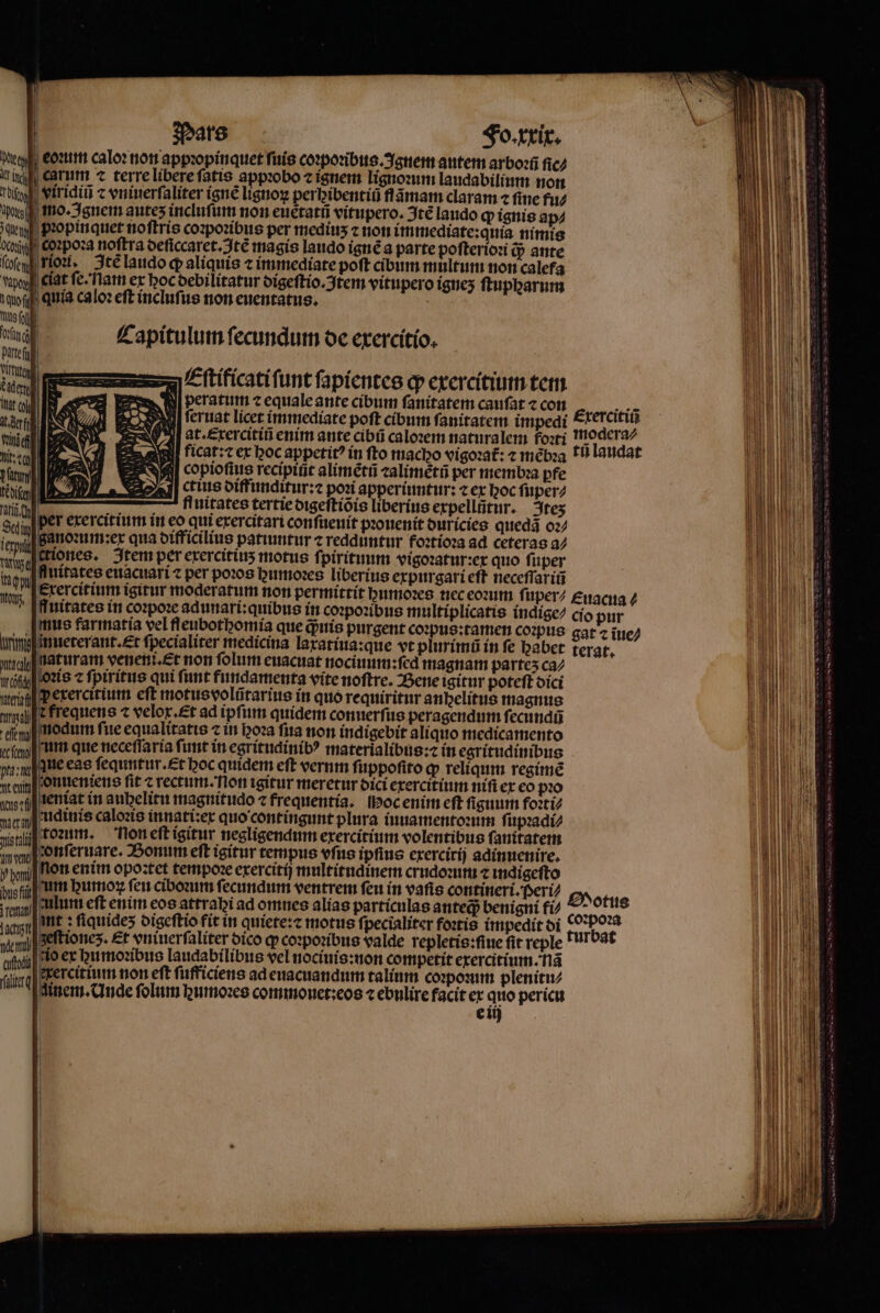 Pars á | eonm caloꝛ non a n Carm ⁊ terre li tis | |viriai t vniuerſaliter ígnel 4 mo. Ignem autes incluſum Capitulum ſecundum de exercitio. ¶ Eſtificati ſunt ſapientes ꝙ exercitium tem NI peraturi ⁊ equale ante cibum ſanitatem cauſat ⁊ con BS AM feruat licet immediate poft cibum ſanitatem impedi Exercitiũ lat. Exercitiũ enim ante cibũ caloꝛem naturalem foꝛti modera⸗ Ficat:⁊ ex hoc appetitꝰ ín ſto macho vigoꝛat᷑:⁊ mẽbꝛa tũ laudat ¶copioſius recipiũt alimẽtũ ⁊alimẽtũ per membꝛa pfe wc. 2| ctus diffunditur:⁊ posi apperinntur: ⁊ ex hoc ſuper⸗ üchfluitates tertie digeſtiõis liberius expellũtur. 3tes Sup] Per exercitium in eo qui erercitari conſueuit pꝛouenit duricies quedã oꝛ⸗ ier ii ganoꝛum:ex qua difficilius patiuntur ⁊ redduntur foꝛtioꝛa ad ceteras a⸗ Vue Qfiones. Item per etercitius motus ſpirituum vigoꝛatur: ex quo ſuper inem fluitates euacuari ⁊ per poꝛos humoꝛes liberius erpurgari eft neceſſariñ i Érercitüim igitur moderatum non permittit bunioxs nec eoꝛum ſuper/ £uacia 4 ^ ffuitates in coꝛpoꝛe adunari: quibus in coꝛpoꝛibus multiplicatis indige⸗ cio pur mus farmatia vel fl eubothomia que qᷓ;uis purgent coꝛpus:tamen coꝛpus gat 7 ĩue⸗ im ĩnueterant. Et ſpecialiter medicina laxatiua:que vt plurimũ in fe babet terat, alf nat uram veneni. et non folum euacuat nociuum:ſed magnam partes ca⸗ loꝛis ⁊ fpiritus qui funt fundamenta vite noftre. Bene igitur poteft dici pexercitium eft motus volũtarius in quo requiritur anbelítus magnus e frequens ⁊ velor.£t ad ipfiim quidem conuerſus peragendum ſecundũ ee modum fite equalitatis 7 in hoꝛa fita non indigebit aliquo medicamento try | um que neceſſaria ſunt in egritudinibꝰ materialibus:⁊ in egritudin ibus TE zue eas fequitur. £t boc quidem eft vernm fi uppoſito ꝙ reliqum regime neun onueniens fit e rectum. on igitur meretur dici exercitium nifi ex eo pꝛo 3s: leniat in aubelitu magnitudo ⁊ frequentia. Moc enim cft ſiguum foꝛti⸗ wernudinis caloꝛis innati:ex quo contingunt plura iuuamentoꝛum ſupꝛadi⸗ nit toꝛum. Non eſt igitur negligendum exercitium volentibus ſanitatem ae onſeruare. Bonum eft igitur tempus vſus ipfiue exercirij adinuenire. vl hon enim opoꝛtet tempoꝛe exercitij multitndinem crudoꝛum ⁊ indigeſto bus fü um humoꝛ feu ciboꝛum fecundum ventrem fen in vafis coneineri. Peri, Sotus ien ulum eft enim eos attrabi ad omnes alias particulas anteq) benigni fi ^ oꝛpoꝛa imp] nt: fiquides digeſtio fit in quiete:⁊ motus ſpecialiter foꝛtis impedit di türbat venil Seltionez. Et vuiuerſaliter dico qp coꝛpoꝛibus valde repletis:ſiue fit reple afta HO er humoꝛibus laudabilibus vel nociuis:non competit exercitium fia iir Kercitinm non eft fufficiens ad euacuandum talium coꝛpoꝛum plenitu⸗ u ginem. nde ſolum Dumozes commouet: eos ⁊ ebulire facit er quo pericu e iij