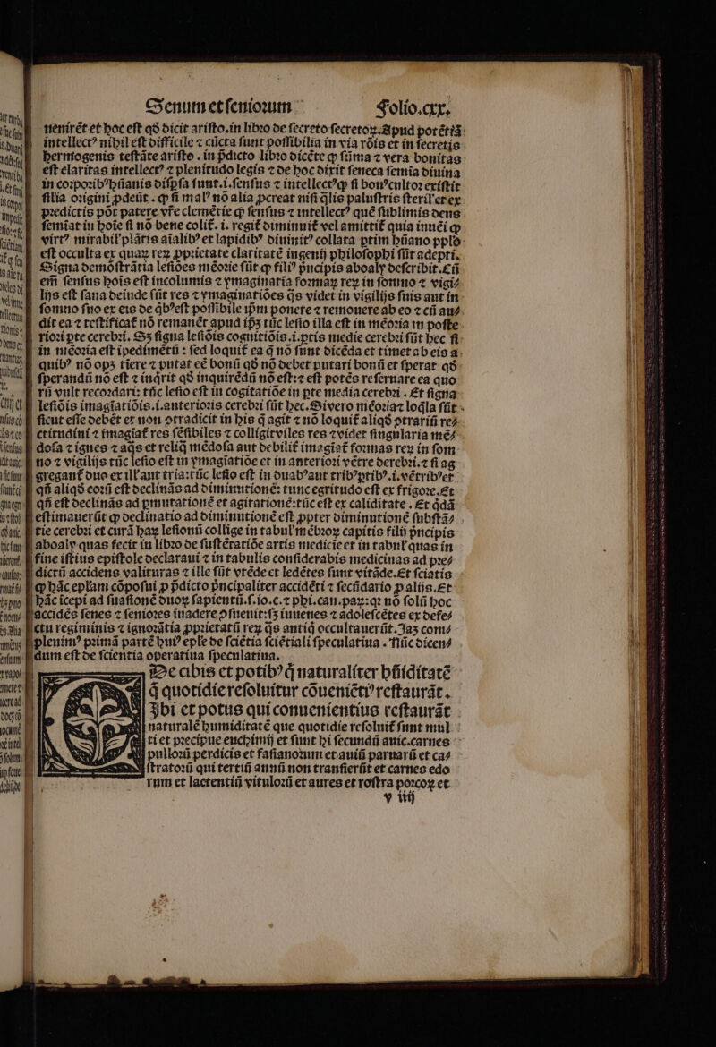 j 1 , n  H . T - J ^w 5 » -. 5 ud | intellect? nibil eft difficile ⁊ cũcta funt poſſibilia in via vois et in fecretis a hermogenis teſtãte ariſto. in pᷣdicto libꝛo dicẽte ꝙ ſũma ⁊ vera bonitas n | eftclaritas intellect? ⁊ plenitudo legis ⁊ de hoc dixit ſeneca femia diuina de | : — — . L4 . - ^ : : . en in coꝛpoꝛibꝰhũanis oífpfa f unt. . ſenſus t intellect^qp fi bon cnltoꝛ exiſtit Btw E filia oꝛigini pdeüt . qp fi malꝰ nõ alia ꝓcreat niſi q̃lis paluſtris ſteriłer ex „ | ine bꝛedictis pot patere vr̃e clemetie qp fenfus ⁊ intellectꝰ qué ſublimis deus ws ſemiĩat in boie fi nó bene coli£. i. regit diminuit᷑ vel amittit᷑ quía inuẽi qp rs E ri eſt occulta ex quay rez ꝓpꝛietate claritate ingenij pbilofopbi füt adepti. ^  Signa demöſtrãtia lefioes mẽoꝛie füt ꝙ fili? pncipis aboaly deſcribit.ñ ^e | eii fenfus bois eft incolumis vmaginaria foꝛmaꝝ rez in ſonmo ⁊ vigi⸗ 0 ſomno ſuo ex eis de qͥbꝰeſt poſſibile ipri ponere treimormere ab eo ⁊ cfi au⸗ sint dit ea ⁊ teſtificat᷑ nó remanet apud ips tuc lefio ílla eft in mẽoꝛia in poſte * D ton E d | quib? nó ops tiere ⁊ putat e£ bonũ q6 no debet putari bonũ et ſperat qð IMS ſperandũ no eft ⁊ indrit qð inquirẽdũ nó eſt:⁊ eft potẽs refernareca quo T rũ vult recoꝛdari: tác lefio cft in cogitatiõe in pte media cerebꝛi. £t ſigna uch ſicut efle debẽt et non ↄtradicit in bie q̃ agit ⁊ nõ loquit᷑ aliqð ↄtrariũ re⸗ is^ ctitudini ⁊ ĩmagĩat᷑ res féfibiles ⁊ colligitviles res ⁊videt ſingularia mẽ⸗ (ttis doſa c ignes ⁊ ads et relid mẽdoſa aut debilit imagiat᷑ foꝛmas rey in ſom au no ⁊ vigilijs tũc leſio eft in pmagĩatiõe et in anterioꝛi vẽtre derebꝛi.⁊ ſi ag itin B gregant᷑ dus ex ilk aut tria:tũc leſo eft in duabꝰ aut tribꝰꝑtibꝰ.i.vẽtribꝰet and B qfi aliqð eoꝛũ eft declinãs ad diminutione:tunc egritudo eſt ex frigoꝛe. Et uiti d qfi eft declinãs ad ꝑmutationẽ et agitationẽ:tũc eſt ex caliditate. Et qͥdã qai, tie cerebꝛi et curd bax leſionũ collige in tabul imbꝛoꝝ capitis filij pncipis titm aboaly quas fecit in libꝛo de ſuſtẽtatiõe artis medicie et in tabuł quas in e fine iftius epiſtole declaraui ⁊ in tabulis confiderabís medicinas ad pꝛe⸗ e | dicti accidens valituras ⁊ ille ſũt vréde ct ledẽtes ſunt vitãde.æt ſciatis wit cy hãc eplam cõpoſui p pᷣdicto pᷣncipaliter accidẽti ⁊ ſecũdario ꝓ alijs. Et ono edic ſcepi ad ſuaſionẽ duoꝝ ſapientũ.ſ.io.c.⁊ phi.can.paꝝ:qꝛ nó ſolũ boc ch accidẽs fenes ⁊ ſenioꝛes iuadere ↄſueuit:ſʒ iuuenes ⁊ adoleſcẽtes ex defe⸗ d ctu regiminis ⁊ ignoꝛãtia ꝓpꝛietatũ rez ds antig occultauerũt.Jaʒ com⸗ wi pleuimꝰ pꝛimã partẽ huiꝰ eple be ſciẽtia ſciẽtiali ſpeculatiua. Nũc dicen⸗ nn dum eft oe fcientia operatiua ſpeculatiua. — an De abis et potibꝰqͥ naturaliter hũiditatẽ ne d quotidie reſoluitur cõueniẽtiꝰ reſtaurãt. wil di et potus qui conuenientius veftaurát a Sli naturaleburiiditate que quotidie refoluit funt mul vind | | ri et pꝛecipue euchimij et ſunt bi fecundi aníc.carnes folu. T pulloꝛũ perdicis et faſianoꝛum et auiũ paruarũ et ca⸗ W 1 ſtratoꝛũ qui tertifi annũ non tranſierũt et carnes edo r MEE um et lactentii vituloꝛũ et aures et roftra poꝛcoꝝ et n v iij ]