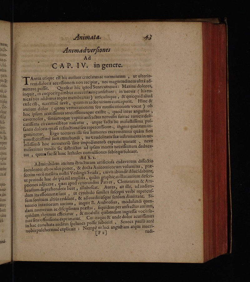 Un er« m i WM quete. m. Wi telolyi clin pad Spte- terit I, dat | 000- itur; ferit calore 7 wimd- JAnimata. ZAnimadverfiones | Ad 'CA TP. IV. in genere. rem doloris acce(fionem non recipiat, 'nec magnitudinem ultrá ad- Quadrat hic quod Senecainnutt: Maximi dolores, bus macerrimis confiftunt; in nervis ( histu- nicas nos addimus àátque membranas?) articulisque , & quicquid aliud exile eft-, acertimné (zvit, quam inar&o vitium conceperit. Hinc & aurium dolor ( quem vermitationém feu mofficationem vocat ): ob hoc ipfum acütiffimus atrocillimusque exiftit -, quod inter anguítos , cavernolos , *finuatosque capitis anfractus nervulis fuisac tunicis deli- catiffima circumveftitos naícatur , -atque fa&a fic moleftiffima pul- (antis doloris-quaft refractione feurepercuffione., ingens quantum in- eminetur, Ergo toítores ;lli (eu humores excreméfititii quàm feri oteft citiffimé furit exturbandi -, 'nexrudelitatis fü inftrumerita in no* Liliffimó hoc acroaterió fine impedimento experiri queatit , neve miferrimis modis 'fic diftra&tus ad ipfam mortis necéffitátem deduca- tur , quum facile hinc lethales convulfiones fubfequifoleant. ORCI CEPS KORR ; &üram artiliciofa cadaverum diffectio docta Anatomicorum voluimina, pr- fertim veró mellita noftri Veslingii S vada , cuivis abunde dilucidabunt, ut proinde hac deipfa nilamplius , quàm graphicas illasaurium defcri- tiones adjicere , quas apud venerandos Patres ,' Clementem & Am- brofium deprehendere licet , allubefcat. .Autes, ait ille, adaudien- dum itaefformatzíunt , ut cymbalo fimiles fafcepti verbi repercuf- (am fonitum altiüs reddant, & ad cordisufque fehfum dimittant, 5i- nuatio interiorum aurium , inquit D. Ambrofius, modulandi quen- dam numerum ac difciplinam praftat , fiquidem per anfractus aurium, quidam rhytmus efficiatur , & modulis quibüsdam ingreflz vocisfo- nus fineoffenfione exprimatur, Cur itaque & unde dolor acutiffimüs inhac conchata auditus fpelunca po(fic fuboriri , Seneca pauló anté nobis pulcherrime explicuit : in uy anguítiam atque up 2 tudi- mittere poffit. inquit , in corpotisparti Admirabilem aüriüm 4trü luculenter ob oculos ponet , &