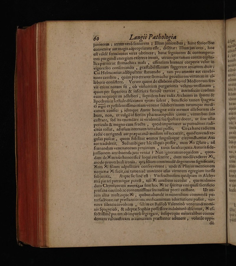 juniorem ; atrum veró feniorem: 2: Illum junioribus ; Hune fénioribus &onvenite autmagis adpropriatum effe, di&itat: Illum juniores , hoc cft valdé ferocientes vires obtinere; hunc feeniorem &.contempera- tam purgandi energiam exferereinnuit, utrumquetamen contra ceplia- lica pariterac ftomachica mala , effentiam humani corporis velut in: vigoreftüo confervando , praftabiliffimum függerere arcanum dicit; Cui Helmoatius adftipulatur ftatuendo , tam proamente aut exorbi- tante cerebro , quám pro errante ftomacho peculiarem virtutem in ele leboro confiere. « Verum quum deelleboroalbo vel Medicorum fer« vis etiam notum fir. , ob violentiam purgationis vehementiffimam , quam per füperiora & inferiora furiofé exercet ,. ihtrinfecüs crudum: eum nequaquim adhiberi , fiquidemthizc radix Archeum in fpasmi & lipothymiz letale difctimen xzxare foleat , beneficio tamen fpagyri« Ci mgrii eX peftilentiffimo etiam veneno faluberrimum tutumque medi- camen confici ; ideoque Autor benigna artis memor elleborum al« » bum. non. utvulgóid fieri in pharmacopoliis 'cimus ,, virtutibus fuis. , , E P $ ericulo & magno cum fructu, quod'impuritates ac putredines radi- citus tollat, ad ufuminternumistraducipoffit; ^^ Circahanc radicem recté corrigendi aut przparandi modium niloccurrit; quod'cavendire- eulas pofcat, quum fideliter emnes fingulàsque: circumftantias Aus tortradiderit; Sedambigere hicaliquis poffe, num Xo &£)lato ,. ad frznandam venenatorum perciniem, , tanta faculrasjuxta Autorisfide-- jutlionem attribuenda jure veniat ?' Non ignoramus equidem ,, quos- dam de minüs honorificé loquiaurfentire , dum: modó'cadáver Xi, modo proverbialiironia, quafilium omnimodé degenerem fignificant; Xum Xi filium adpellitare coníyveverunt ; unde & Plinius mentionem nequitiz Xi facit,cui tamen ad maximos ufus virtutem egregiam ineffe fubjunxit,, Atqueficfané'eft : Vix fru&tuofüm quidpiam in Alchy- miá parari patratique poteft , nifi Xi auxilium accedat. , quemadmo- dum Chymicorum zovq5e1o. fine hoc Xi ac fpiritus vini quafi facrificio profana omninó ac contemtiffima feu nullius pretii exiftunt; — Vtau- tem alias multasqueXXi , quibusabundé in mineralium commodá pu- trefactioneaut przftantiorum medicaminum adornatione pollet ,. vir- tutes filentioinvolvam ,. faltimeex Bafileó Valentino venerandi nomi- nis Spagyricó , & adepta Sophie pofftffore indubitató difcimus; 7 cf- fe&itfim? purum ab impuró fegregare, infüperque mineralibus corro« dentem vel caufticam acrimoniam praftanter adimere ,. volatile oppi- dó | Edu jb migecd | obfom* PIS pure teíilendi mum exdct eellentis | betur, hc fedhatut adnotat hcc ne nisqiel munis ce vigi tio) Y jebori queadj AUCTI Dofitq y vam fis., quim. titione. fuas. piis. lica dy € capi henefic N fiiis; ftdt a Wo