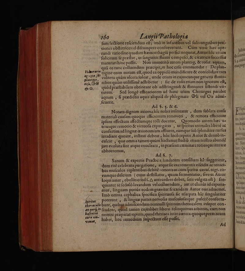 , fum fe&tione refciendum eft ; imó in infantibus vel folis unguibus peti- tiones obftetricesid difrumpere coníveverunt. | Cum veró hzc ope- randi ratio fine quadam hzmorrhagiá perfici nequeat, Autorhic eiiam folicitüm fe przftat , ut fanguinis fluxus compeíci,& cicatricis fücceífus maturarihincpoffit.. | Non immeritó autem plantag, & rofar. aquam, . quà ostunc colluendum przcipit;in hoc cafu commendat: De plan- Vulnera? (5 5ine enim notum eft,quod ea oppidó mundificare & confolidare tam A deri vulnera quàm ulcera foleat , unde etiam in cujuscunque gencris fluxio- MR nibus quàm utiliffimé adhibetur : fic de rofis etiam non ignotum cft, c0, quódpraftabilem obtineant ob adítringendi & fluxiones fiftendi vir- cutem... Sed longe efficaciorem ad hanc ufüm Chirurgus parabit aquam , fi predictis aquis aliquid de phlegmate (E4i vel Ois admi- Ícuerit. Ad $. s. & 6. Notatu dignum axioma hic nobis infinuatur , dum (ablata caufa materiali caufam quoque efficientem removeri |, & remota efficiente ipfum effe&um affectumque rolli docetur, Quomodo autem hac u- . triusque remotio & virtuofa expurgatio , utfpiritus animalesliberé ac confertim adlinguz c conomiam affluere, eamque fuó fplendore rurfus irradiare queant , inftitui debeat , hóclocó repetit Autor & denuó in- eulcat , quz omnia tamen quüm hactenus ftudió. etiam noftro abundé jàm evoluta fint atque enucleata , in prafenti ruminare totiesque iterare abhorremus, Ad $. 7. Sanum & expertis Pracücis laudatum confilium hí« fuggetitur, düm rité celebrata purgatione, atque ic excrementis vifcidis ac tenaci- bus muículos replentibus debité remotisos cum fpiritu .ceraí. nigt. eo- rumquedulcium (cujus deftillatio , quam fermentatio, five ut Autor loqui amat , ebullitio fed f. A antecedere debet, fatis vulgata eft) | fre- quenter ac (eduló lavandum vel colluendum , aut ut clariüs id expona- mus, linguam potis eodem gnaviter fricandam Autor nosadmonet., | Imó omnia cephalica fpecifica fpirituofa fic ufurpata hic fingulariter Spiritus poterunt , & linguz partes nervofas mufculofasque pulcre conforta- tberiacalis bunt, quibus admifcendum nonnulli fpirirum theriacalem infuper con- an quá, i^ (vadent, quod tamen cujuslibet libero relinquimus arbitrio;.cum non alisti nemini przparatzopium;quod thériaca inter caetera quoque permixtum cra con- : - vie, habet, hoc remedium faípectum effe poflit, Ad udicit las (enicnd $, j candi etam pip tint, unde ui quà $.: | puerosip quada | u: M lunt: Qu bra, d hementif Sacrumati magausen| fca Qu hups: Don volte mineymol $3 lla fir af TXento inr tüm anima Vicvet 1 KD CIE