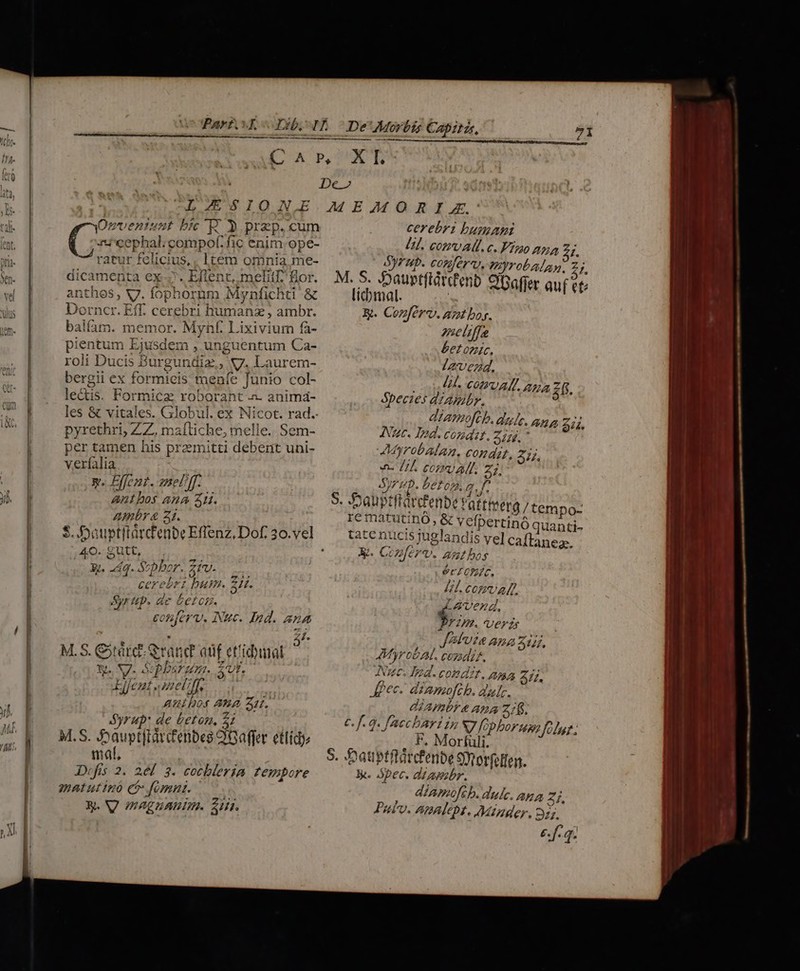 X I. zi'cephal; compof.fic enim ope- ratur felicius, ltem oninia me- dicamenta ex ^. Elent, melitf. flor. anthos, V. fophornm Mynfichti &amp; Dorncr. Eff. cerebri humanz , ambr. balfam. memor. Mynf. Lixivium fà- pientum Ejusdem , unguentum Ca- roli Ducis Burgundiz,, X7. Laurem- bergii ex formicis tuenfe Junio col- lectis. Formicz roborant .». animá- les &amp; vitales. Globul. ex Nicot. rad. pyrethri, ZZ, mafliche, melle. Sem- per tamen his przemitti debent uni- verfalia y. Fffent. anel/ff. Ant bos ana 21. Ambr Z1. $. Douptitàrd'enbe Effenz, Dof, 30. vel (rrseyatr bic'E 3 prep.cum n. ; E Syr Up. ae Ceiom. conferv, Nuc. Ind. ana * 21. M.S. Girárd Grand adf ettidnal ^ y. X7. Spbsraim. Uf. Eifent .nelff. Athos An Z4. Syrup: de beton, 2; M.S. SJoauptftàrd'enbes QGaffer etlídy mat, : Decfis 2. 2el 3. cocbleria tempore matutinàó ci» fomni. X. V UAE nA. SH. cerebri bumani [Hl. com Ad. c. Yo: ana f. SyFHb. conferq, myrobalay: 2j, M. S. -Dauptflàrd'enb CGaffer auf ete licbmal. | R. Confer. azot bor. 2neleffa betonic, Izvend. o M. COPVAT ana za ópecies dzambr. EV ; diamofh. dulce. ana $4. UC. Id. COHAE. Z2, AMyrobAlAn. condat, z 2. as FL corr) AM. Z3, yz gp. bet on. q. f S. -Dauptftarcfenbe Fattirerg/ tempo- re matutinó , &amp; vefpertino quanti- tate nucis juglandis vel caftanea-, X. Confer. antho erctonec, LL coma. La vend. ; DN Uer 2s Jab uta ana Zi, AMyrcob AL. cozadz?. Tec. Ind. condit, 2g Zij. Jpec. diamoftb. dul. JiAmbr e ana z;f. €f. q. faecbari in 7 fopbor uan 17775 F, Morfüli. jy. Ópec. diambr. . diAmofib. dulc. ana zj, Puto. ADACDE, Minder, 225. &amp;. f.q.