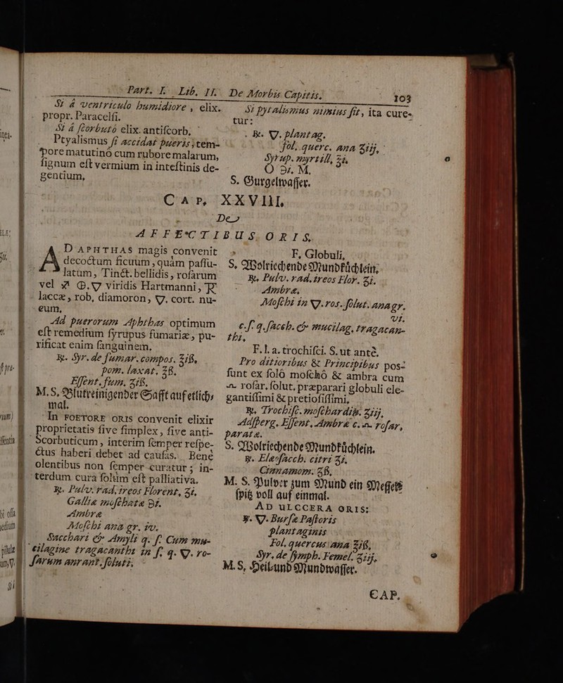 a —— MÓ— À— an — Á L wt ELE, ji nm edium B —— propr. Paracelfi. 5 4 fcorbutó elix.antifcorb; ^ Ptyalismus ff accidat pueris ;tem- Tore matutinó cum rubore malarum, fignum eft vermium in inteflinis de- gentium, Q'Ap; 103 52 DyEAÍISTEHS 21BIHS fit , ita cure- tur: . B. V. plantag. Jo, .querc. ana Ziij, Syrup. nyrtili, 2i, 8; M. S. Gurgeltvafjer. D APHTHAS magis convenit decoctum ficuum , quàm paffu- latum, Tint. bellidis , rofarum vel 34 Q.V viridis Hartmanni E eum, d puerorum Aphtbas optimum eft remedium fyrupus fümariz , pu- rificat eaim fanguinem, T. Syr. de fumar.compos. Zifj, pom. laxat, 28, Elfent. fum, ztf. M,S, Coutteinigenber Ga(ft auf ettícbs mai. In FoETORE ons convenit elixir proprietatis five fimplex, five anti- Scorbuticum , interim femper refpe- Cus haberi debet ad caufis. Bené olentibus non femper curatur ; in- terdum cura fo!üm eft palliativa, K. Patv. rad, ireos Florent, 3i. GAllia moftbata Br. móre — Mofcbi ama gr. fv. Succhart e$» Apyli q. f- Cum mmu- eiagine tragacantbz 1n f, q. V. ro- jig F, Globuli, 5, QBelriedbenbe Stunbtücbtein; 3. Pulv. rad. reos Flor. Zi. * Ambr &amp;, Moftbi 12 NJ.ros. folu. Ana gr. Vt. c.f. 4. face. cf mucilag, ITADACA- 52, F.1. a. trochifci. S. ut ante, Pro ditzoribus &amp; Princibibus pos- funt ex foló mofchó &amp; ambra cum -. rofar.folut, preparari globuli ele- gantiffimi &amp; pretiofiffimi, R, Thocbifc. mofcbar ditr. Z15j, «dafperg, Elfent, Mpmbr&amp; c. o. rofar, parat &amp;. 5. QBefriecbenbe SunbFücbfein. gp. Ela»facch. citri 42. Czanamom. 28, M. S. 39ulp:t sum Sunb ein 9otefret* fvi&amp; voll auf einmal. AD ULCCERA ORIS: y. V. Bur[e Paftoris plantaginis Fol, quercus ana zf, Syr. de [fymgpb. Femel. $5. M.S, 5Deibunb So wnobtvaffer. €AP.