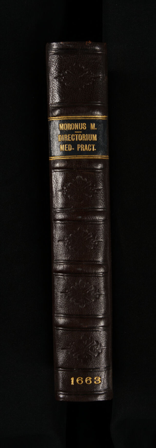 No text description is available for this image