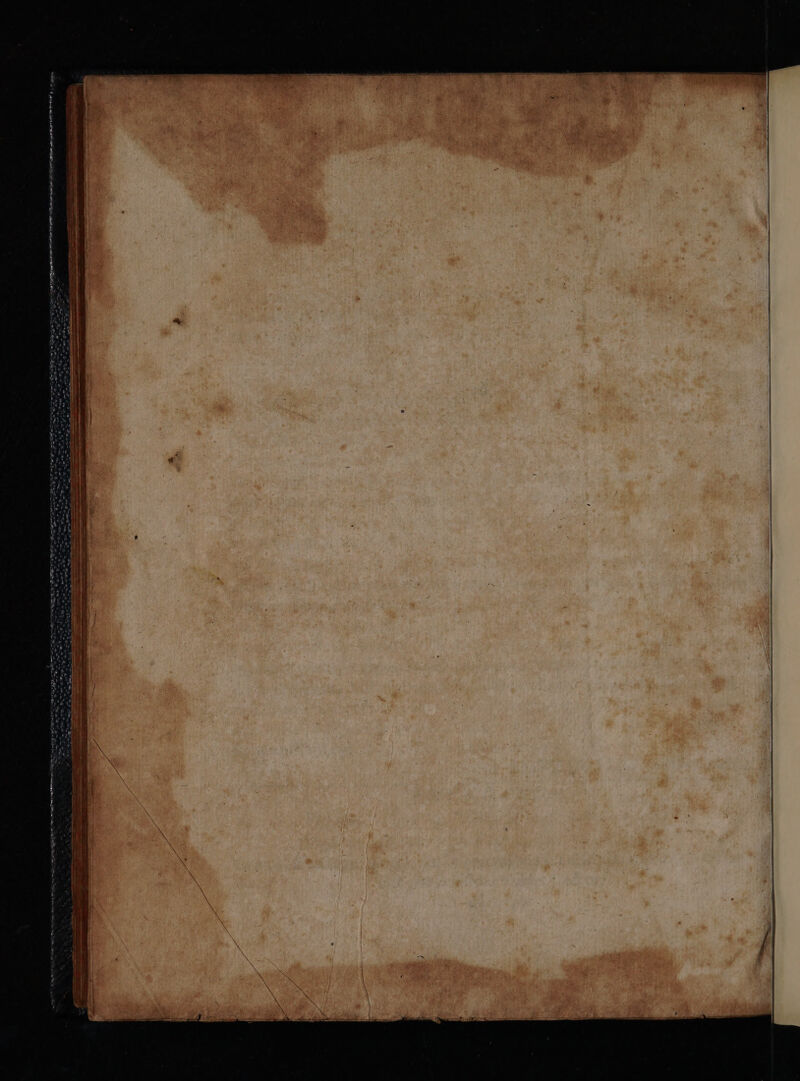 m: AME 7 à uai eis oti ialit e dl rt i IF uo Vn IS Pi tty ro PR ag i, P m coria qu I SEA