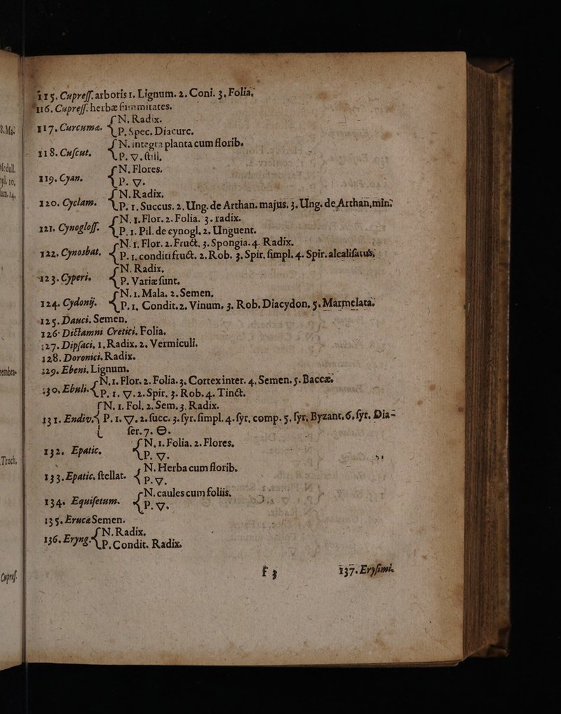 ki, | yl 10, AID.14, Troc | (nd 11s. Cupreff. atboris r. Lignum. 2, Coni. 5, Folia, ( N. Radix. 117. Curcuma. P. Spec. Diacurc. N.integta planta cum florib. 118. Cufcut. p. v. (till, N. Flores. 119. Cyan. p. y. N. Radix. 120. Cyclam. ^ p. , Succus. 2, Ung. de Arthan. majus. 3, Ung. de Arthan, min; , N. 1. Flor. 2. Folia. 3. radix. 121. Cynoglof. i». 1. Pil. de cynogl. 2. Unguent. N. 1. Flor. 2. Fru&amp;, 3. Spongia. 4. Radix. 122, Cyntsbat, 1». r. conditi fru&amp;, 2. R ob. 3. Spir, fimpl, 4. Spir. alcalifavus; N. Radix. 123. Operi, P. Varizfunt. i N.1. Mala. 2. Semen, 124. Cydonij. 1r. 1, Condit,z, Vinum, 3. Rob. Diacydon, 5. Marmelata. 125. Dauci. Semen, 126: Di&amp;lamni Cretici, Folia. :27. Dip[aci, 1, Radix. 2. Vermiculi. 3 o EbsliÀ p. y. V.2.Spir. 3. Rob. 4. Tin&amp;t. l'N. 1. Fol, 2, Sem. ;, Radix. T 131. EndivA P.1. V7. 1 fücc. 5. fyr. fimpl. 4. fyr, comp. s, fyr, Byzant, 6, fyr. Dia- Lo. fee0 s | 132. Epatic, f N. 1. Folia. 2. Flores, | Lv M os , 13 5. Epatic. ftellat. Agi bacum florib. N. caules cum foliis, 134. Equifetum. P.v. 13S. Eruca Semen. vr E EC 39. 502571 p. Condit. Radix. F5 157. Eryfim. ——É— A— — a gue RI aL Tage. wmm chc o : A