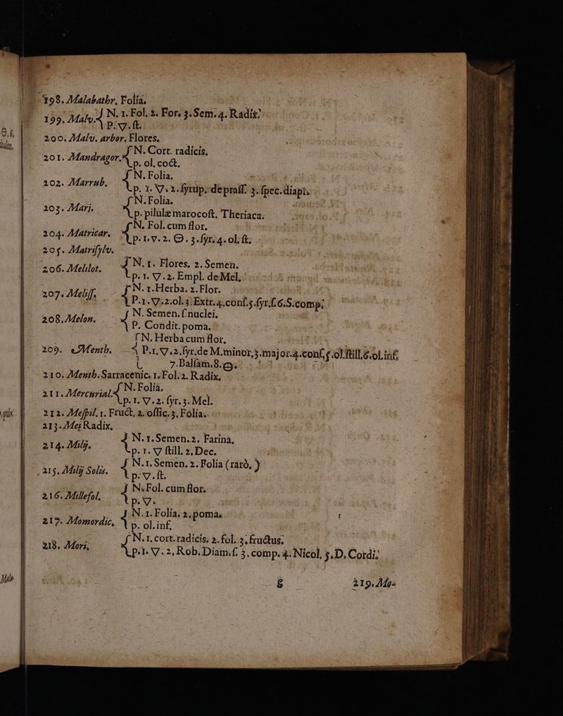 199, Mali P. v. ft. 2 4 200. ZMalv. arber. Flotes. f N. Cort. radicis. 20lI. AMandragor, X p. ol. coct, N. Folia. 202. 7£Marrub. p. 1 V» 2. dyrüp. depsir: 3. fpec. bp . Folía. 203. AMarj. p. pilule marocoft, Theriaca. . à N. Fol. cum flot. 204. 7Matricar. m i. 0. itia otrii  n . Folía. 211. Merciria I. V.2. fjr. 5. Mcl. 212. Mefpil. 1. Eod 2. offic. 5. Folia. 213. 74ei Radix, J- N. r. Semen.2. Farina, 214. Mily. jV IIR Dse. » N.1. Semen. ». Folia (t y, 15, 2l Solis. 1 3 S s olia ( rato ) ! | N.Fol. cum flor. 216. Z£Millefol, p. V. N.1. Folia, 2, poma, 217. 7Momordic, iri ol.in£, Ln I. Cort. radicis. 2. fol, 5. fru&amp;tus; 218. Mori, pt: V. 2, Rob.Diam.f. 5, comp. 4; Nicol, $. D. Cordi; E 219. 44e.