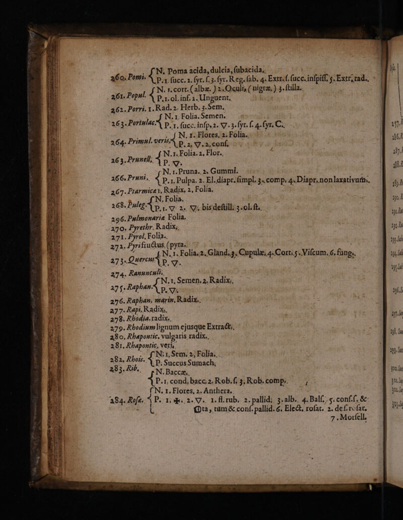 E | f em EE - £o. P. 'N, Poma acida, dulcia, fabacida,, a6o. mmi. P.1 fuc. 2. fyr. f. 5. fyr. R eg. fab. 4. Extr«f. (ücc.infpitf $. Extr, tad. 1 N. 1. cort. ( alba. ) 2. Oculi; ( nigra, ) 3. ftilla.. 261. Pops 4 p. 1. ol. inf. 2. Unguent., 262. Porri. 1. Rad.2. Herb. 3.Sem. Aer c A . I. Folia. Semen, 263 EOTIMAEA p 1 (ucc. infpez. V. 3«fyt. f. 4. (yr. C. 264. Primul. ouo PA Bélba a 65. Pruneli; ui ms 2, Flor., 66. P N. r. Pruna., 2. Gummi. 266, Pruri.. i». 1, Pulpa. 2. El. diapr. fimpl. 3. comp, 4.Diapr.. non laxativurir., 267. Ptarmica, Radix, 2, Folía, 3. Pul Res Folia, 260. [9/6 p. p sz. 2. SZ; bisdeftill; 3.01. ft. 296. Pulmonarie. Folia. 270. Pyrethr. Radix; 271. Pyrol, Folia. 272. . Pyrifrutus, (pyra. 273: Querud p. 1. Folia.2. Gland.3, Cupulz; 4» Cort; 5. Vifcum. 6, fang. 274. Ranunculi. n I, Semen, 2. Radix. 27 j. Raphan. p.v. | TN 276. Rapban, marin, Radix. j 277. Rapi. Radix, 278. Rbodia. radix., 279. Rhodium lignum ejusque Extract, 280. Rbapontic, vulgaris radix., 281. Rhapontic., veri, ^N: rn Sen, 2; Folia... 13 ea P; Succus Ciindch : 293. AD, N. Bacca. 300.!ti P.r.condibaccz,Rob.f/ 3, Rob.comp. — , IN CN. 1. Flores, 2. Anthera.. | MEUNC 284. Rufe» itis 1,91, 2. V. 1. fl. rub. 2. pallidi, 3.alb.. 4. .Balf; s; conf.f. &amp;: | Q2, tàüm &amp; conf. pallid. 6. Ele, rofat. 2. def rofa, — | n 7. Morell. 4n NT 95 Dui