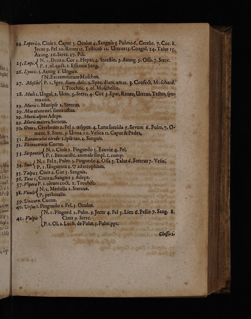 (M1 rigidi) [ees s, LI, Dent 4a |i Dry: 347 cius? VPE VAT. iU me [tnnt 0.8 5. Mug a7. 0* Jecu 9. Fel 10. Renes it, Tefticuli 12. Uterust;. Coagul, 4. Talus 15, Axang. 16.Sterc, 17. Pili. | N. ;, Dens2. Cor 3. Hepat, 4. Inteftin, f. Axung. 9. Offa, 7. Sterc, P. 1. ol. coct. 2. Effentia Sang. : n 26. Lyncis.i Axung 2. Unguis. — (N.ExcrementumMofchus. e 27. Mofchi^ P. X, Spec, diam, dulc.2. Spec. diam, afnar. 3. Confect, Mofchard;' UL A4 Trochifc. 5.0]. Mofchellin. 28. A4uli 1. Ungul, 2, Urin. 3. Sterc« 4: Cort 5. Epar, Renes; Uterus, Teftes, (pus ma otis, 29. Mauris 1, Musipfe 2, Stercus, ; 29. 7Mus ataneusf. forex uftus, 29. Maris alpini Adeps. 29. Murs majoris Sce£cus, 30» Quisi, Cerebrum 2. Fel 5. cefypus, 4. Lata fuecida $.Sevum 6. Pulm,7, O- ment, 8.Sterc. g.llrina 16. Vefica n. Caput&amp; Pedes, — —— 31. Ranunculus viridu 1.ipíe ran, 2. Sanguis. dam 32. Rhinocerotió Cornu. : ( N.1. Cinís 2. Pinguedo 3. Exuviz 4. Fel, 3 3, Serpent p. | Bezoardic, animale fimpl.2.comp. .. f. N.x. Fel 2, Pulm. 3. Pinguedo 4, Offa s. Talus 6, Stercus 7. Vefic; 34. Suis p, 1. Unguenta 2. 7 adatrophíam, wn 35. Z4lpa1. Cinis 2. Cor 3. Sanguis. 36. Taxi 1, Cinis 2, Sanguis 3. Adeps. 37. 'iperaP. r. oleum co&amp;t, 2. Trochifc; — LE N.1. Medulla 2, Stercus. 38. P'ituliA p. pectoralis, 39. 'Unicort. Cornu. ' 4o. Urfuit. Pinguedo 2. Fel. 4. Oculus. ['N. i. Pingued 2. Pulm. 4, Jecur 4. Fel $.Lien 6. Pellis 7. Sang. 8; A1» Pulpis Cinis 9. Stetc. Wl yis : LP. 1. Cla. Loch, de Pulm, 3. Pulm.ppt, 3p. Lupi. » Glaffa is