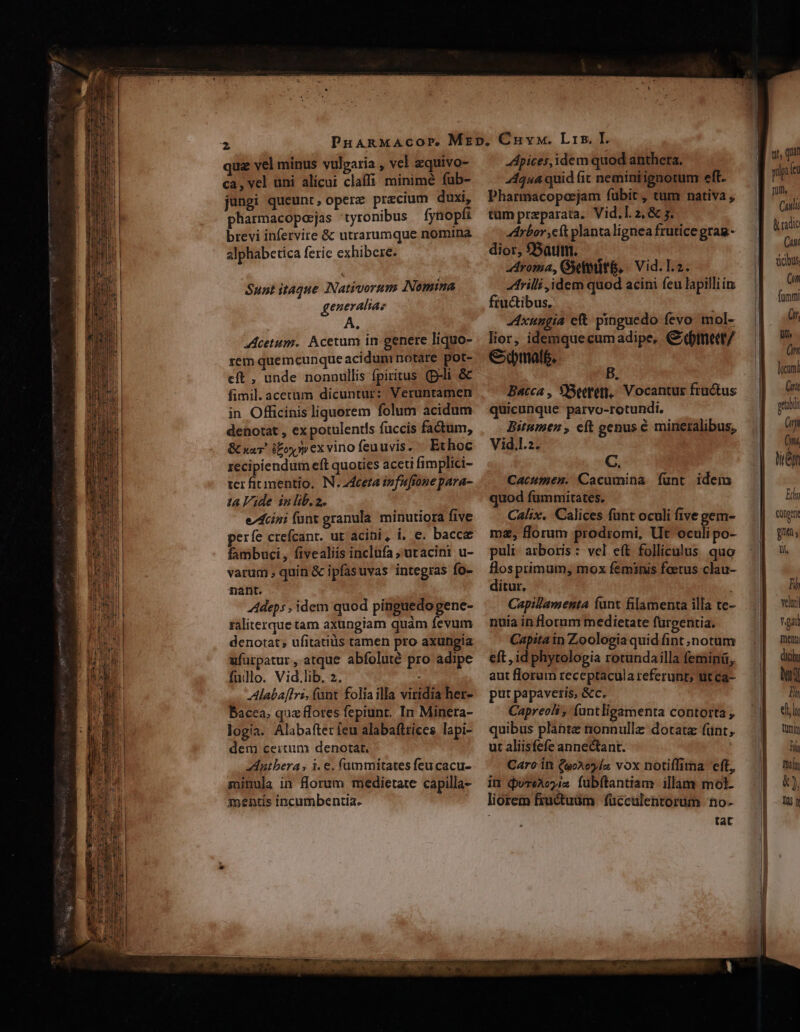 qua vel minus vulgaria , vel zquivo- ca, vel uni alicui claffi minime fub- jungi queunt, opere precium duxi, pharmacoposjas 'tyronibus fynopfi brevi infervire &amp; utrarumque nomina alphabetica ferie exhibere. Sunt itaque INativorum Nomina generaliae A. cetum.. Acetum in genere liquo- xem quemcunque acidum notare pot- eft , unde nonaullis fpiritus (p-li &amp; fimil. acetum dicuntur: Veruntamen in Officinis liquorem folum acidum dehorat , ex potulentls fuccis fa&amp;um, &amp; xar ifoxvexvinofeuuvis. Ethoc recipiendum eft quoties aceti fimplici- ter firmmentio. N. cera infuftone para- ta lide in lib.2. e74cini fant granula. minutiora five perfe crefcanr. ut acini, i. e. bacca fambuci, fivealiis inclufa ;utacini u- varum , quin &amp; ipfasuvas integras fo- nant. Adeps , idem quod pinguedogene- raliterque tam axungiam quàm fevum denotat; ufitatiüs tamen pro axungia ufurpatur, atque abfoluté pro adipe fulllo. Vid.lib. 2. Alaba[lri, fant folia illa viridia her- Bacca; quz flores fepiunt. In Minera- logia. Alabafter ieu alabaftrices lapi- dem ceitum denotat, utbera ; i. €. fümmitates feu cacu- minula in florum medietate capilla- Apices, idem quod anthera. 4444 quid (it neminiignotum eft. Pharmacopoejam fubit, tum nativa , tum preparata. Vid. l. 2, &amp; 5. Arbor cft planta lignea frutice grag- dior, fSaum. — Aroma, GeetitG, | Vid. L.2. frilli idem quod acini feu lapilli i ftuctibus, Axungia et. pinguedo fevo mol- lior, idemquecumadipe, C itieq/ Gibmalé. Bacca , Bette, Vocantur fructus quicunque parvo-rotundi. Bitumen , eft genus € mineralibus, Vid.l.2. C. Cacumen. Cacumina funt. idem quod fümmitates. Calix. Calices funt oculi five gem- mz, florum prodromi, Ut oculi po- puli arboris: vel eft folliculus quo flos primum, mox feminis feetus clau- ditur, ; Capillamenta funt filamenta illa te- nuia in florum medietate fürgentia. Capita in Zoologia quid fint notum eft , id phytologia rotundailla feminü, aut florum receptacula referunt; üt ca- put papavetis, &amp;c. Caprecli , (antligamenta contorta , quibus plante nonnullz dotata fünt, ut aliisfefe annectant. Caro in (qoAoola vox notiffima eft, in dureAcyim fubftantiam illam mol- tat Cali lradic TT dicibus Cn fom Gr, uin n locum (unt peibli (ni On, TOUT Edi Conpcr gu i Ti) veluti gai menti dicis Mu Et eli Tür IT tin &amp;),