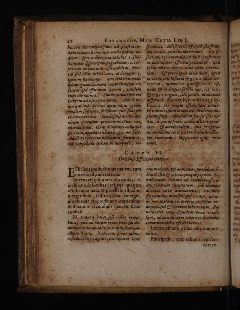 bic cen vei vulgatiffima ad. prafentan- dam vitam adomnium oculos pofitus vi- detuv.. Jgnis avHens tria exbibet. 1 . fub- flantiam fhjriuofam flagrabilem » 2. CoF- poream aliquatinuts efumatilem , [piri- tub. feit. illius fabjetlum y. ac denique 3. igne.m flammam :. qua tria nou modo ipfum ignem flamma comprebenfum ve- ferunt (ed effmvinm. [pirant , ejudem eum illo nature, — Simsli vatione fefe ves babetin atlu [en igne uitali, — Adest ui- mirum inibi [pirirus aptus natus. ignem vitalem [ufcipere, facultatesque. [uas pro renata exerere, - Similifane modos quo oleum acceu[mm pra natura illius olei, odorem balat.. Mum fi snfitum cujusque fpiritum» appellare libuerit y per me licet. defi £4 corporea fubftantia , [piritus il- lips fubjetlum. lychno 3n lampade ,' ve- fpoudens. Adefl tertio 68 iguis fen flam- ma vitalis , quaduotllavrvunt. |. Ep ef- fentiam rei naturalis 4n qità confhtute ex quain[uper effuvia procedunt , qua rebus exteris pro ve nata eunt. in[ervi- tum. Efl porro ignis idem illud , quod in. Creation bifloria vw , 3. e. lucis vo- ce venit , quippe bac igni effentialis. eft, unde €à in Imgua fantla vw ; i-e. lux ; Cd eN 7. e. tgnzs , fola puntls mutatione differum. Senaert,hypomnemat. phy- fic.c.3. pe? vitam e[fentialem. innue- ve videtur, dum vitam ex AAriflotele du- plicem facit y. effentialem feu [u^ flantia- lem , à quo ut fonte, vitales atliones pyod- eant ,. € accidentalem ,. qua fit opera- tio vitalis aut certé potentia vitales atlio- nt exercendi :: Hippocrati ignia voce venit, Fficiensproductionis native tum interna eft,tum externa. Interna eft ipfiusmet reinatura, i. e. inclinatio &amp; facultas (activa) quanon nfodo apta nata. &amp; proclivis eft ad e- mergendum , fed in actum emergit, ulteriusque progrediendo curriculum deftinatum fecundum fpeciem füam conficit. N. Natura balet fefe inflar veiput- blice, qua ad nutum princtpala fus do- apiniauxilio official ac qutuifrorum; admin[lratur.. Nimirum prout admi- zi ftratiozlla pcragitur sta re[atat inde commodum, vel damnum ,uom folum fr^ mili modo Natura eft comprebenfio o- muigenarum facultatum , fub-domino alicujus certe. dommatricis ,| edbibstis facultatibus miniflris gubernata , utin- de non tantum vei proprie perfetlio -re- dundetsfed €$ proximo [nbveniatur. Res naturales, enim [iquidenz bona create funt , adimutáttnem creatoris bonitatis communicati'ua effc debuerunt. . Interna eft tum. principalistum mi- niftra. i Principalis ,' quz reliquis ceu fun amen- duncotum qu prid nitur N L U fei ü üt Pa cula tp , i yn, d hi eti pimíci Sq fif Prin peut Ide dd favis, &amp; pb NT neq Hi Quan eir ttt tt n teint ird til, N Lh