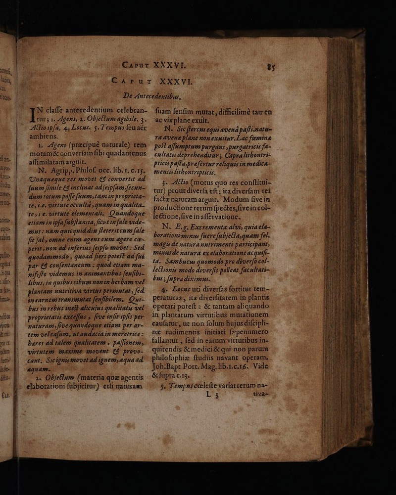 iy, labi, 3, | eto. | dtm. 4$ pio- lem. frudus 15 ffe telnQ Ana [s ub B pulte- ciat Siqu vafft- lue lit vibus fpicà &amp; ret: mt dt ndum feme d lise B dltn- | * cw €. N claffe antecedentium: celebran- tur; 1. zdgens, 2. Objetlum agibile. 5. Alio ipfa, 4. Locus. $. T empus (euaér ambiens. : 1, Z4gens (przcipué naturale) rem motam&amp; converíam fibi quadantenus. affimilatam arguit. N. Agripp. Philof. occ. lib. r. c. 15. Unaqueque res movet € convertit ad fun fimile €8 inclinat ad [eip[am fecun dum totum poffe [aum»tam in proprieta- te, 1.6, Virtute occulta quam in qualita. re 1€. virtute elemental. Quandoque etiam in ipfafubjlanua, ficut im fale vide- 25us : nam quicquid din fleteriteum [ale fit [al omne enim agens eum: agere ca-. peritsmon ad inferius (eipfo movet : Sed. quodammodo , quoad fieri poteit ad fui par €8 con[entaneum : quod etiam ma- zifcflo videmus in animantibus fenfibi- libus, ia quibuscibumnanin herbam vel plantam nutritiva uirtus peruuutat , fed. insarneu transmutat fenfibilem. Qui- bus in vebus ineft alicujus qualitatis vel proprietatis exeeffns s. [Fue infit ipfis per naturam, frve quandoque etiam per ar- tem velca[um, ut audaciain meretrice z bares ad talem qualitatem » pa[fionem; virtutem: maxime: anovent. €$. provo- cant, Swignis movetad ignem,4qua 4d. aquam. 2. Oljetlum (materia qua agentis: elabotationi fubjicitur) etfi naturam. fuam fenfim mutat , difficilimé tamen ac vix plane exuit. N. Sic flercut equi avena pafhimatu- ra avene plane non exuitur.Lac femina pot affumptum purgans spuvgatricts fa- cultatis deprehenditur, Capra litbontri- pticts pafl a;prefertur veliquis in medica- mentis lithontripticas.. 3- -Atlio (motus quo res conftitui- tur) proutdiverí(a eft; ira diveríam tei facte naturam arguit. Modum (ive ín productione rerum fpe&amp;tes,fivein col- lectione,(ive in affervatione. N. E.g. Extremenuta alt, quia ela- Lorationisninus fuere ubjetla.quam fel, magnu de naturanutrimenti participant, minusde natura ex elaboratione acquifi- ta. Sambutui quomodo pro diver[o col- lechionts gmodo diverfis polleat facnuttati-- bus s fnpradiximus.. 4. Locus uti diverfas fortitur tem- peraturas , ita diverfitatem in plantis. operari poteft : &amp; tantam aliquando in plantarum virtutibus mutationem caufatur, ut non folum hujus difcipli- nz rudimentis initiati f»penumero fallantur , fed in earum virtutibus in- quirendis &amp; medici &amp; qui non parum philofophia: ftudiis navant operam. Joh.Bapt Port. Mag.lib.i.c.16. Vide &amp; füpra c.15. $5. Temp ns coclefte variatrerum na- L s tiva S TIR T m e a m AES