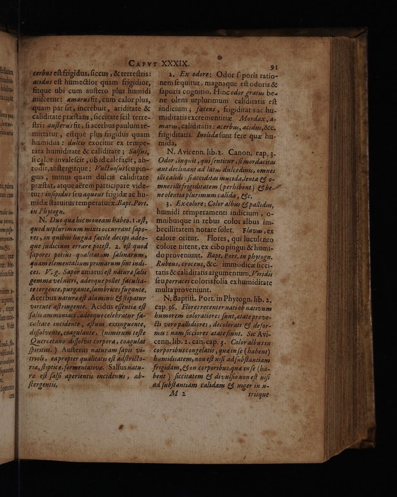 kelztm titudini debilis. fL Cagdt m th j Í Witte Jii Miny Uam CUm [ i peret mp. Ott. tr, (65, quz wr, Me. itum 4« t, dtt luti att (tid , f vlfiand d n fiqrorum (e acid4s eft hümectior quam. frigidior, imifcetur: «marausfit, cum calor plus, caliditate prz'ftans , (iccitate fcil. terre- ftri: auflerusfit; fiacerbuspaulumre- mittatur, eftque plus frigidus quam humidus : dczs exoritur ex tempe- rata humiditate &amp; caliditate ; Sa/fzs, fi calor-invalefcit ; obid calefacit, ab- rodit;abftergitque; Futiuo[nsfcupin- guis, minus quam dulcis caliditate przftat, atqueacrem participare vide- tur : dzfrpidus (eu aquenus frigida ac hu- midz ftaruitur temperaturz.Zapr. Port. in Phytogn. N. Duo qua bicmoneam babeo.t .eff, quod utplurimum mixti occurrant (apo- res , in quibus lingua facile decipi adeo- que judicium errare potefl. 2. efl qnod fapores potius -qualitatam. [alinarum , quam elementalium primarum [int indi- ces. V. g. Sapor amarus eff natura [alns gemma veluitri, adeoquepollet faculta- te tergente, purgante lumbricos fugante, Acetbus zatpra eff aluminis C3 flapatur virtute afringente,. Acidus effeutia eff faits ammoniaci yadeoque celebratur fa- celtate incidente y affum extimguente, diffol'vente, coagulaute ,. (nimirum tefle Q uercetano'dilffolüit corpora , coagulat [piitus; ) Aufterus zaturam fapit vi- tyiols , eapropter qualitatis efl ad/tritto- v1&amp;, fLiptice; fermentativa. Salus zata- v efl falfi aperientzs incidenws ,. ab- ffergentis, à, Ex odere: Odor (poris ratio- nem fequitur, magnaque eft odoris &amp; faporis cognitio. Hinc odor gratis bes ne. olens utplutimum | caliditatis eft indicium ;. fatezs , fiigiditatisac hu- miditatisexcrementitiz ^ A4ordax , 4- maus, caliditatis: acerbus, acidus,&amp;c. frigiditatis. Zso/ida (unt fere qua hu- mida, N. Avicenn.lib.z. Canon. cap, 5. Odor inquit , qui fentit s fi saordacitas aut declinant ad latus dulcedinis, omues ii caldi : fi acesditas mncidaslenta €d o- mnes illt frigidiatem (perbibent) €dbe-^ neolentiaplurimum calida, t&amp;c. 3. Ex colore: Color albus &amp;d pallidus, humidi temperamenti indicium , -o- mnibusque in rebus coloralbus im- becillitatem notarefolet, F/eww ex calore oritur. Flores, qui luculento colore nitent, ex cibo pingui &amp; humi- do proveniunt. Zapt, Porz, iz phytogn. Rubens, croceus, &amp; c. immodica ficci- tatis &amp; caliditatisargumentum, 7/7;4; feuporracei colorisfolia exhumiditate multaproveniunt. N, Baptilt. Port. in Phytogn.lib. 2. Cap.36. Floresrecenterzatiob nativum humorem coloratiores (ant,etate prove- &amp;i veropalhdiores , decolorati 4 defor- 165 : HATR icctores atate fiunt. Sic Avi- cenn.lib. 2. can.cap. 3. Color albus iz corporibuscongelaus ,quain [e (babent) bamiduatem,nomeft ufi ad(nbftantiam Lent) ficcitatem € divulliomon eft uifr ad fubflantiam calidam £4 nger in a- VM Irisque aiat. zi - s -— X E