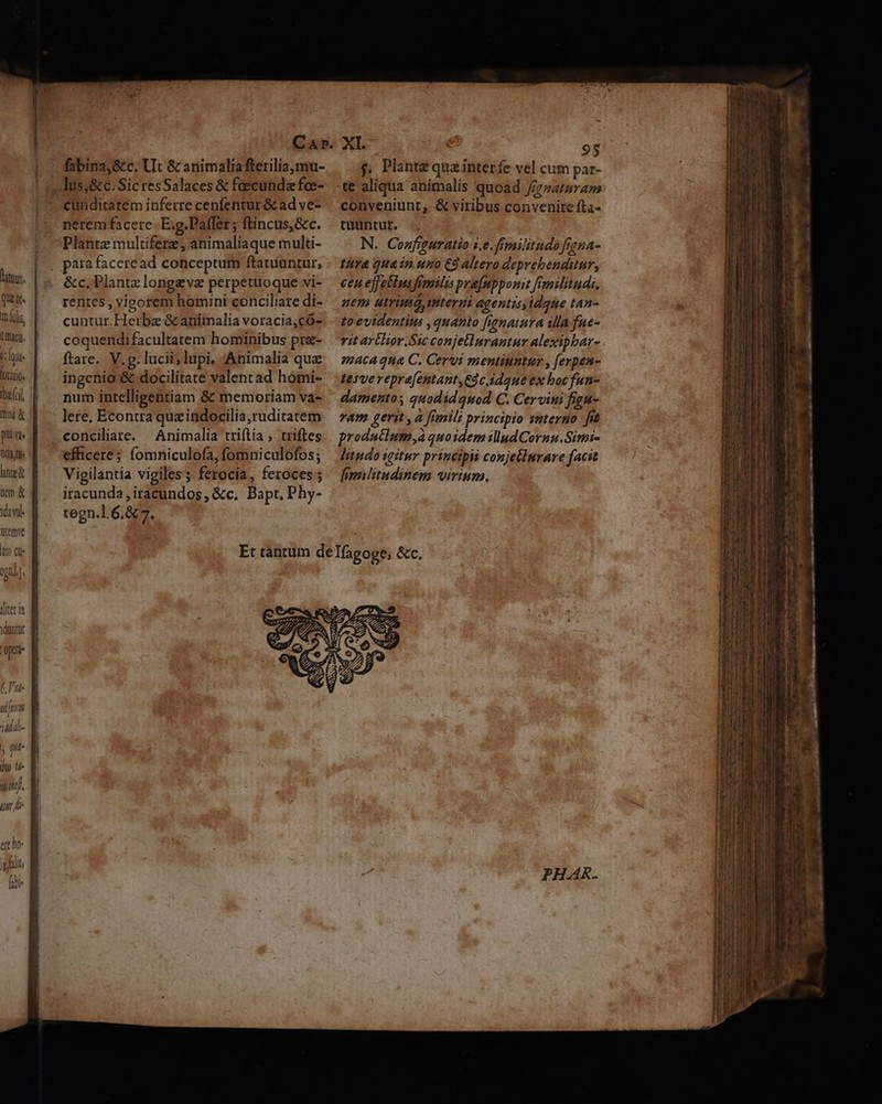 atum. Que re. mí) CIact. T [qut DOLIO. be (il pu Vis ltzk nem. &amp; david. teme (4r Cle l TUR diter in duntur (opea fabina, &amp;c. Ut &amp; animaliafterilia,mu- cunditatem inferre cenfentur &amp; ad ve- nerem facere | E;g.Paffer; ftincus,&amp;c. Plante multifere, animaliaque multi- &amp;c, Plante longe ve perpetuoque vi- rentes , vieorem homini conciliare di- cuntur. Herba &amp; animalia voracia,có- coquendi facultatem hominibus pra- ftare. V. g. lucii; lupi, Animalia que ingenio:&amp; docilitate valent ad hómi- num intelligentiam &amp; memoriam va- lere, Econtra queindocilia,ruditatem conciliare. Animalia triftía , triftes efficere; fomniculofa, fomniculofos; Vigilantia vigiles; ferocia, feroces ; iracunda,iracundos, &amp;c. Bapt. Phy- tegn.l.6.&amp; 7. f, Plante qua interfe vel cum par- te aliqua animalis quoad /f/zzataram conveniunt, &amp; viribus convenire fta- tuüüntur. N. Configuratio 1e. frmilitudo figna- tra quain uno Có altero deprebenditur, cen ejfetius fimilis praupponit fmilitud:., nem utrimd, mtergi agentisyidque tan- zo evidentits ,quanto fienatura ila fue- vitartlir.Ssc conjetlurantur alexipbar- maca qua C. Cervi mentiuntur , ferpen- tesvervepra[entant,Cóc idque ex bocfun- damentos quodidquod C. Cervini figu- vam gerit , à fimili principio wnterno ft prodatium,à quoidemillud Cornu.Simi- litudo gitur principii conjeilurare facit fimlitudinem virium. ER E REPRE EET RÀ —— SR I RR