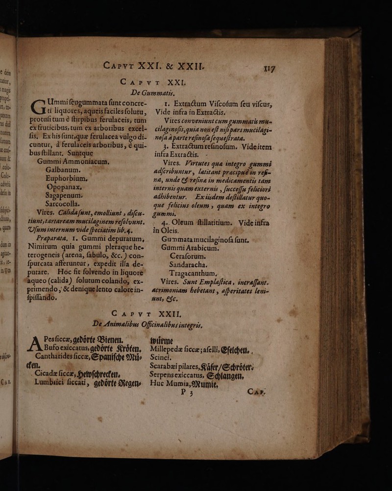 * dti tior Dopel. CL ffe lom s did nomen un &amp; ! Colo- delis m fibi (ioni, aptat lt, It- in ym Umi feugummata funt concre- G tí liquores, aqueis faciles folutu , protufi tum é ftirpibus ferulaceis; tum ex fruticibus, tum ex arboribus excel- fis, Exhis funt;que ferulacea vulgo di- cuntur, à ferulaceis arboribus , é qui- busftillant, Suntque Gummi Ammoníacum. Galbanum. Euphorbium, Opopanax, Sagapenum. Sarcocolla. Vires. CAlidafunt, emolliunt , difcn- tipnt,tartaream mucilaginem refoluunt. Nimirum quia gummi pleraque he- terogeneis (arena, fabulo, &amp;c. ).con- fpurcata afferuntur, expedit illa de- putare, Hoc fit folvendo in liquore aqueo (calida) folutum colando, ex- primendo , &amp; deniquelento calore in- fpiffando. I. Extractum Vifcofutn feu vifcus; Vide infra in Extractis. Vires conveniunt cum gummarti mi cilaginofis,quia won efl nift pars mucilagi- ne[a àparterefinofa fegqueflrata. 3. Extractumrefinofum. Videitem infra Excractis. Vires. Pirtutes qua integro gummi adfcribuntur , latitant pracipud $n vefi- na, unde Ej vefina in medicamentis taz épternis quam externis , [ncce[fu feliciori adhibentur. | Exindem deflillatur quo- que felicius oleum , quam ex integro gummi. 4.. Oleum flillatitium. Videinfra Gummi Arabicum. Ceraforum. Sandaracha. Tragacanthum, Vires. Sunt Emplaflica, inevaffant. acrimoniam bebetant , afferitates leni- 4t; €$c. A Pesficce, aeborfe Bienen, Bufoexiccatus,geborfe Qeróten, Cantharides ficce, &amp; panífde 9t» Lumbiici ficcati, aebór(e Seat teure Millepeda ficca ; feli, &amp;fefdfeti, . Scinci. Scarabai pilares, 8 afe / C ebrofete Serpensexiccatus, Geblanatn, Huc Mumia,9Ytuthít, : P; Car. —: —— cC—— — P! ET 4 — DC PEE PEL m rri erit zar : uae ec Lm XE — S