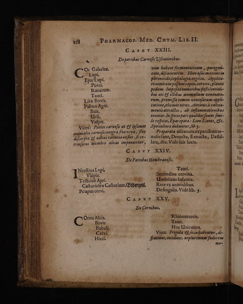 &amp; 4 ^ O: Galeritz. Lupi. EparLupi. Porci, Ranarum. Tauri. Lien Bovis. Pulmo Agüi. Suis, Afi. Vulpis. Vites: Partes carnofa ut € sp[amet animalia carnofA integra [rue viva , frue difcerpta €à adbuc calentia ea int s fi ex- trin[ecus inembro alicui. impenuntur , «yim babent fermentativam , paregori- phrenitide,cephalagiayvigilis, 2dpplica- vi nimirum po[funt capits, ceroici ,plantzs pedum. Impofitatnmoribus pe[Hlentiah- butá uti C9 iElibus animalium venenato-- rum,prami[faA tamen vento[arum appti- catione eliciunt virus. ddttritus à calcea- mentis attratlos , ab anflammationibus tuentur In [peciepars quelibet [aum fimi- Je re[picit, Epar epata : Lien Lienes, €c. Spectaliora dabuntur ,lib.s. Praparata ufitatoria ex partibuscar- Aofisfunt, Decocta, Extracta, Dettil- lata, &amp;c. Vide (uis locis. y Nteftina Lupi, Vulpis. T efticuli Apri. : Caftorisfeu Caftorium;£Sibergrif, Priapus cetvi, Tauri. Secundina cervina. Umbilicus Infantis. Rete ex animalibus. Defingulis. Videlib. $. Rhinocerotis, Tauri, Huc Unicornu, : Vires. Frigida € frecababentur , di- féutinnt, incidant, utplurimnm fudorem me- gif jen] iim Dupin (i fpei Ra i» Dens Bi m Ost. 0nd Lii Tar TüsL Por Ynes, Rd d yi tom Ür D Tuy Manil Cnt