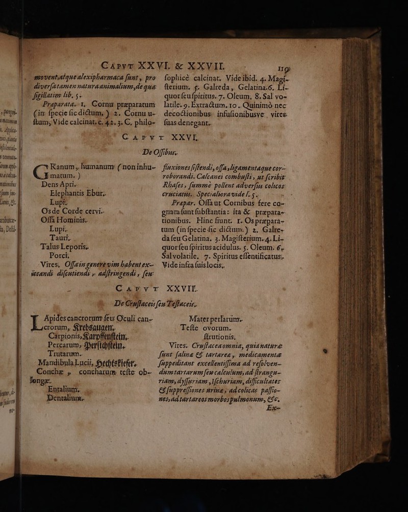 tic punt Milena matti I l | — dttbutcar« hy Dd bp, | Jigillatim hib, 5. GAPrPY II fophicé calcinat. Vide ibid. 4. Magi. fterium, 5. Galreda, Gelatina.6. Li-- quor feu fpiritus. 7. Oleum, 8. Sal vo- latile: 9. Extractum. r0 .. Quinimó nec decoctionibus. infufionibusve . vires: fuas denegant.. r XXVL matum. ) DensApri- . Elephantis Ebur.. Lupt. Osde Corde cervi. Offà Hominis. Lupi. Tauri. Talus Leporis.. Porci; Vires, Offaingenevemim babent ex-- sscandi di[cutiendi » adffringendi , feu: vroborandi. Calcanei combufli, ut firibi Rhafes , [umm pollent adwer[is colicos: eruciatis.. Specialiora vide [..5 .. Prapar. Offaut Cornibus fere co- gnacauntfübftantia: ita &amp; | prepara» tionibus. Hinc fiunt r. Osprapara- tum (in fpecie fic didum.) 2. Galre- da feuGelatina. 5. Magifterium. 4. Li- quorfeu fpiritus acidulus. $. Oleum. €, Salvolatile, 7. Spiritus effentificatus.. Vide infra (uislocis;. ls cancrorunt feu Oculi can-- | 4crorum,. Seebsatiaem,. Carpionis; tatpfrenfteim,. Percarum; Serftcbfteirn. Tirutarum.. Mardibula Lucii, fsetbtefiefet'; Conche , concharum tefte. ob-- longe. Entalium. Dentalium.. Mater perlarum.. Tefte ovorum. Ítrutionis, Vires. Cruflaceaomuia, quianature Jünt. falina €$. tartarea ,, medicamenta J'appeditant. excellentiffima ad vefolven-. dumtartarum [ew caleulum;ad [lrangu- riam; dy[[uriam ,Mchuriam, diffcultater € fuppre[fioues urina y ad colicas: paffro- nt5,ad tartareos myorbospulmonum, C$c, Ex-