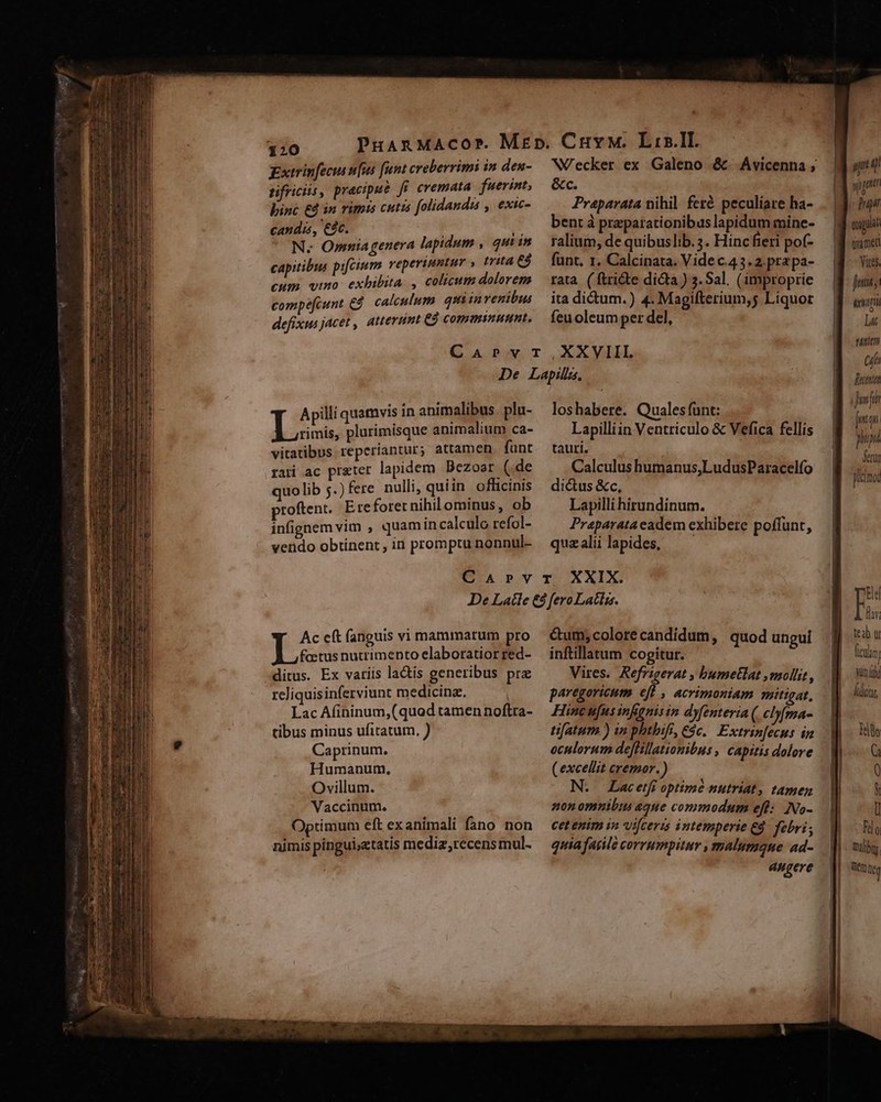 gxtrinfecus nfus [unt creberrimi in den- nfricis, pracipue ff cremata | fuerint; binc €4 in rimis cutis folidandu , exic- candi, €3c. | t N. O»pmta genera lapidum , qui in capitibus pifcium veperimntur , tita £4 cum vio exhibita , colicum dolorem compe[cunt. C$ calculum quiin venibus defixus jacet , atterumt €3 comminunnt. Wecker ex Galeno &amp;. Avicenna ; &amp;c. Praparata nihil feré peculiare ha- bent à preparationibus lapidum mine- ralium, de quibuslib.3. Hincfieri pof- funt, 1. Calcinata. Vide c.4 3. 2. pra pa- rata ( ftri&amp;te dicta ) 3. Sal. (improprie ita dictum.) 4. Magifterium,g Liquor feu oleum per del, Apilli quamvis in animalibus. plu- rimis, plurimisque animalium ca- vitatibus reperiantur; attamen funt rati ac prater lapidem Bezoar (.de quo lib 5.) fere nulli, quiin. officinis proftent. Ereforet nihilominus, ob infignemvim , quamin calculo refol- vendo obtinent , in promptu nonnul- loshabere. Qualesfunt: Lapilliin Ventriculo &amp; Vefica fellis tauri. Calculus humanus,LudusParacelío dictus &amp;c, Lapilli hirundinum. Praparata eadem exhibere poffunt, quzalilapides, —— Ac cít (anguis vi mammarum pro jen nutrimento elaboratior red- ditus. Ex variis la&amp;tis generibus pie reliquisinferviunt medicinz, Lac Afininum,(quod tamen noftra- tibus minus ufitatum, ) Caprinum. Humanum, Ovillum. Vaccinum. Optimum eft ex animali fano non nimis pingui;ztatis mediz,recens mul. &amp;um;colorecandidum, quod ungui inftillatum cogitur. Vires. Refrigerat bumetlat mollit, paregoricum eff , acrimoniam mitigat, Hinc ufus infignisin dyfenteria ( clyfma- tifatum ) in phtbifi, €$c.. Extrinfecus in oculorum de[Hllationibus , capitis dolore (excellit cremor.) N. Lacetfi optime nutriat, tamen z20n omnibus «que commodum eft: INo- cet enim in vifceris intemperie €. febri , quia fasile corrumpitur , malumque ad- augere up ql n j ur Dupir iiit TRUST Vites, futt iei La sten aa Buena Jw fth [utn pup erum Wirimoa Ee lr, teab ur ficum, wn llc