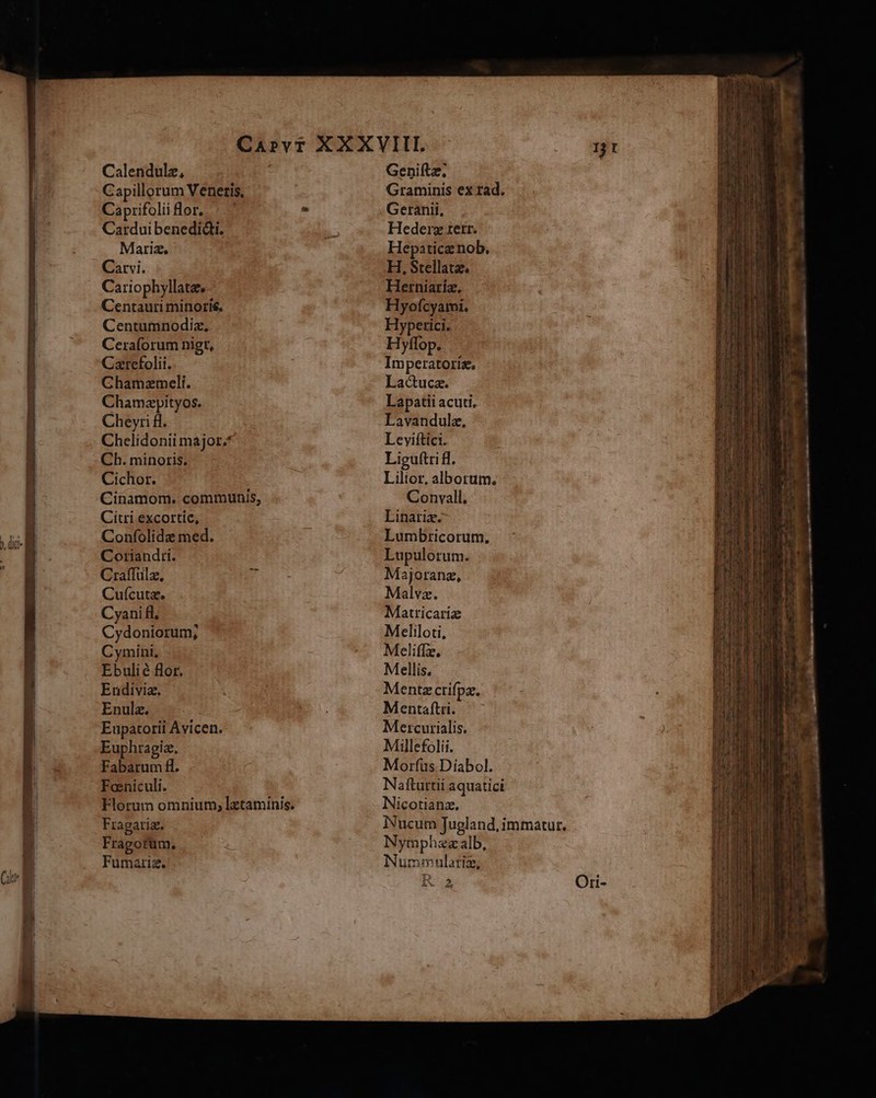 ) dic Capillorum Venetis, Caprifolii lor. Cardui benedidti. Marix. Carvi. Cariophyllate. Centauri minoris. Centumnodiz, Ceraforum nigt, Carefolii. Chamzmelí. Chamzpityos. Cheyr fl. Chelidonii major. Ch. minoris. Cichor. Cinamom. communis, Citri excortic, ; Confolidz med. Cotianditi. Craffülz. d Cuícutz. Cyani fl, Cydoniorum; Cymini, Ebulié flor. Eudivia. Enula. Eupatorii Avicen. Euphragiz. Fabarum fl. Foniculi. Florum omnium, lztaminis. Fragariz. Fragorüm. Fumariz. Graminis ex rad. Geranii, Hederz terr. Hepatice nob. H, Stellatz. Herniariz. Hyofcyami. Hyperici. H yffop. Imperatoris, La&amp;uca. Lapatii acuti, Lavandulz, Leviftici. Liguítri fl. Lilior, alborum. Convall. Linariz. Lumbricorum., Lupulorum. Majoranz, Malvz. Matricariz Meliloti, Meliffze, Mellis, Mentaftri. Mercurialis. Millefolii. Morfüs.Díabol. Nafturtii aquatici Nicotianz, JNucum Jugland, immatur. Nymphezalb, Nummulatiz, I* ^ A A ITem e Yer Qmm i Cpu II Amos ree — rus tid Td T AMLAS
