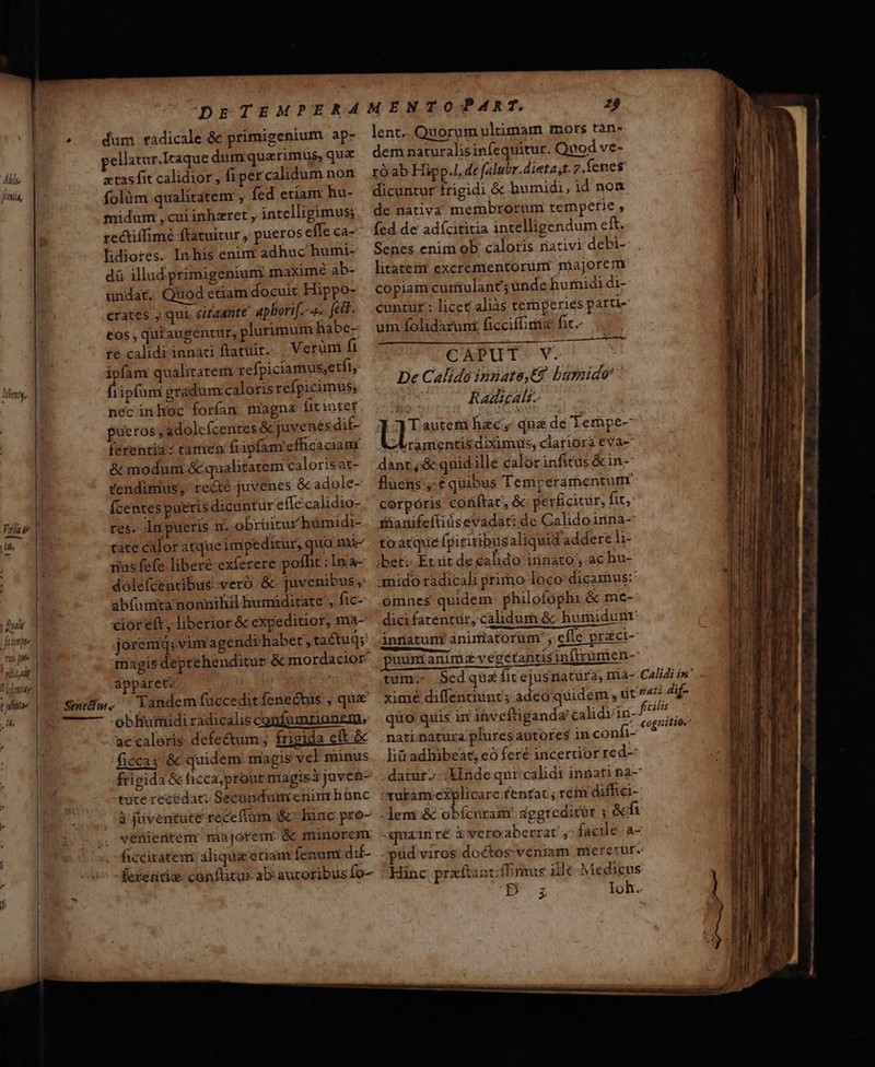 | Alle jc M, Mte r, m T [Lame riti [Hf Lm T fnt c jnte . li D——————JOoÓYÓÉÁÉ oO DMEBEEEBENENEEEEEE TENET SERE ztas fit calidior, fipexcalidum non folüm qualitatem , fed etiam hu- midum , cui inhzret , intelligimus; rectiflimé ftatuitur, pueros effe ca- hdiores. In his enimnr adhuc humi- dü illud primigenium maximé ab- undat. Quod etiam docuit Hippo- crates , qui. citate apborif.-4- fc. €os , qu£augentur, plurimum habe- re calidi innati ftatuit. Verüm fi ipfam qualitatem refpiciamus;etfi é ipfum gradum: caloris refpicimus, necinhoc foríam magna fitinter »ueros ,adolefcentes &amp; juvenes di£- ferentia: tanien fiipfam' efficaciam &amp; modum &amp; quahtatem caloris at- tendimus, reété juvenes &amp; adole- Ícentes pueris dicuntur effecalidio- res. Impueris n. obrüitur hümidi- tate caloratque impeditur, qua mu- rius fefe liberé exferere poffit : Inia- doléfcentibus: veró: &amp;: juvenibus ,: abfumta nonnihil humiditate, fic- cioreft, liberior &amp; expeditior, ma- joremq; vim agendi habet, tactug;: magis deprehenditur &amp; mordacior apparet: obHuttiidi radicalis confumzrionem, ac caloris. defe&amp;tum ; frigida et &amp; ficcay &amp; quidem. magis vel minus frigida &amp; hicca;prout niagisijaven- tute recedat: Secandumtenim hünc à juventute recefium &amp; lunc pro- venientem riajorenr &amp; minorem ficcitatem álique etian fenum dif- ferentis. confltur ab aucoribusfo- lent. Quorum ultimam mots tan- dem naturalisinfequitut. Quod ve- ro ab Hipp.l. de falubr.dieta,t. 7.fenes dicuntur frigidi &amp; humidi, id non de nativa membrorum temperie , fed de adícititia intelligendum eft. Senes enim ob caloris riativi debi- litateri excrementorum majorem copiam curitulant; ünde humidi di- cuntur : licet aliàs temperies partie um folidaruni ficciffiria: fic.- CAPUTS YU De Calido innata t9. burnido' dM Radscalt.- Tauteni hac qua de Terhpe- ramentis diximus, clariora eva- dànt, &amp; quidille calórinfitus &amp;in-- fluens:,:€ quibus Temperamentum corporis conftat, &amp; perficitur, fit, fariifeftidsevadat: de Calidoinna- toatqué (giritibus aliquid'addere li- bet; Etuit de calido iinato', ac hu- anido radicali primo loco: dicamus: omnes quidem: philofophi &amp; me- dici fatentur, calidurh &amp; humidunr Annatumr anirtatorum' efíe praci- uimianimzvegctantisipnftrümen-- nati natura plures autores in confi- liá adhibeat, eó feré incertiorred- . datur. -::XInde qui calidr ináati na- -lem&amp; obíciram' dggreditór ; &amp;fi Aquainré Xveroaberrat , facile. a- - pud viros doctos veniam meretür.- Hinc praftancffinmis ile Medicus UU s Ioh.