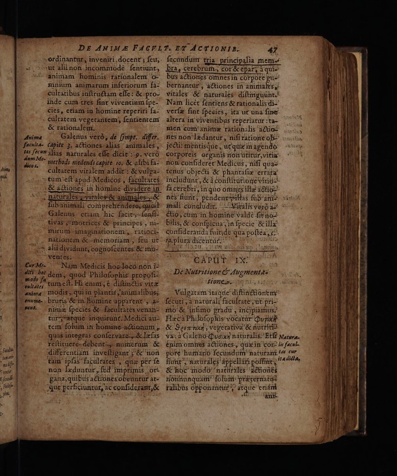 y idt fup ar e runtit Jd  | t fri | , Pts )» j^ nima ut aliinon.incommióodé. fentiunt, animam hominis rationalem o- mnium animarum inferiorum fà- cultatibus inftructam effe: &amp; pro- inde cum tres fint viventium fpe- cies, etiam in homine reperiri fa- cultatem vegetantem; fentientenr &amp; rationalem, Galenus veró; de fympt.. differ. dico s, imetbodi miedendi capite: 10. &amp; alibi fa- cültatem vitàlemr addit: &amp; vulga- .&amp;c actiones in homine dividere in . naturales ,-vitales&amp; animales-5 fubanimali comprehendere,.quod Galenus. etiam. hic: facit fenfi- tivas ;*rYotrices &amp;&amp; principes , ni- mirum-imaginationem.,. ratioci- nationem &amp; memoriam , feu ut anima enumne- ES ventes; 3 Nam Medicis hoc-lecó non i- dem, quod Philofophis propofi- tumet. Hi enini;6 diftin&amp;is vitz modis , qui ia plantis j, aninialibus; brutris'&amp; 1n .Bomine apparent, a2 nimz fpecies &amp;- £xcultates venans tur5-atque inquirünt. Medici au- tcm: folum ir homine- actionum ; qua$ integras confervare.,-&amp; Ixfas reftituere-debent-,. numerum | &amp; differentiam invellipant ; &amp; non tam ipfas facultates , quee per fe non leduntur, fed imprimis, or- gana,quiDus actiohés obeuntur at- que perficiuntur, 4c confidcrant,&amp; bra, cerebrum., cor &amp; épar, àqui- birs actiones omnesin corpore gue bernantür, actiones in animales, vitales &amp; naturales diftinguünt. Nam licét féntiens &amp; rationalis di- veríe fint fpecies , ita ut una fime altera in viventibus reperiatur :ta- sen cum' animse rationalis actio- ies non Iedantur, nifiratione ob-- jecu: mentisque , ut que in agendo corporeis organis non ütitür, vitia tenus objecu &amp; phantafiz errata fa cerebri, in quo omiies ill 35t0- nes fiunt; pendeneshHas fub/inio imali concludit. L Xgals vero 32 eio,cüm in homine valde fit 502 bilis, &amp; confpicua,inípecie &amp;illz Confideranda fuite qua poftéa;, v: 12. plura dicentur; | d € i CAPÜT- IX. De Nutritione G Augmentas- HO9Eioi10 ni, ti Vuleatam itaqde' diftinctionem* fecuti ,a naturali facultate, ot pri- nio &amp; infimo gradu , incipiamus. HacaPhilofophis vocatár Quiks &amp; S'osgi nis ; Vegerativa &amp; nutriti? funt^; naturales áppelliti poffint; &amp; hoc modo 'natürales - 48t6ones nonnunquam folum précermato3 ralibüs opponantur 7 atque cciám fai anr