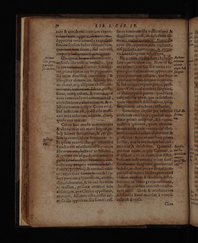 Primm paratio X imore.. CEÁIE E tunt &amp; attrahunt:itaetiam ventri- culue-fuum..appetit alimentum. Appetitus veró animalis exquifirif fimum fenfum habet conjunctum, quo-nen-tam -(uam., fed univerfi corporisindiacntiami perciperet. Ubiigiturhome-erbum fumit , xt fenfu illo trifti ac meleltia , qua in orevenesieuli fenticur;fefelibe- ret,prima ejas in ore fit preparatio. Ibi enim dentibus conteritur ; &amp; frangitur alimentum, falivads hu- meétatur,atq; aliquam abilla cón- tritiones tum-etiam. faliuz. perfa- fione, oris; calore, &amp; tunicaz,que cum ventticulo ori communis ; attrectatione ,-alterationem. &amp;..e- laborationem accipit. Cujus rei il- lud indicium eft, quód cibi mafti- cati mox colorem; odorem, aliasq; qualitates mutant. —— Cibus hoc modo-comminutüs &amp;calteratus ii ore motulinguz gu- lad; hiante detruditur, &amp; per gu- lam in ventriculum demitritur :a- 5i ipfum ventriculus per retentivá facultatem minifterio obliquarum fibrarum-ample&amp;titur arctifsime , &amp; retinet eo ufqs,.doneccomni ex parte fiésMfacultate venericuli.con- coctrices-prepria ventriculi-fub- fr'antid provrioq; &amp; naturali caló- re5adjuvante tarten-nonnihil ca- lore partium adjacentium ,.corco- ctus,elaboratus, &amp; iti àná formam ac maffam , ptifanz cremori nón abfimilem,qux Chylus appellatur, mutatus, Affumto cibo,ceffat ani- malis ille appetitus, feu fames; cef- CAP. Ix fante nimirum illa vellicatione &amp; divulfione quafi , ob defectum ali- vero ille appetitus non expletur, nifi perfé&amp;a. nutritione , &amp; corpo- risfuiex (anguine refe&amp;tione, me animalinon fut, fed totius cor. appeutui refpondet;non vcntricu- li; fed cotiuscorporis gratia, perfi- citur, Veté auté nutritur fanguine, ut alix corporis partes: quod fatis tiam ventriculi diltribuütur,ipfigs fanguinem advchunt, teftantur, ftinis prinio accipitur , &amp;à vicon- co&amp;trice ipforum, quam ob com- munitacem cum véntriculo obti- nient,nonnihil adhuc elaboratur &amp; perficitur : &amp; ita in inteftinis prima co&amp;io, quz in oreincipiebat , ter- minatur &amp; abfolvitur. Quemad- modum enim, inquit Galenus , 4. de ufi part. c. 17. 1x venis, qua diftri- butionisinflrumenta eriam funt, facultatem fanguinis-generatricé indidit,nie;dum per eas fertur;tem- pus ipfralimento fruftra periret:ad butionis in veras gracia-inftitugs, facdltas quadam concoctrix cibo- rumincft. linde &amp;inteftinorum fubftantia haud niultüm à ventri culo e&amp; diverfa, y Cum Inteff?-. Mim Mt,