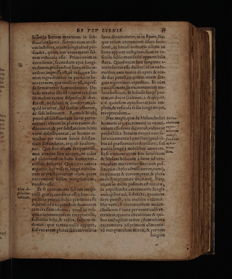 lin. orum : ii Veni Hle 4, mf Pn If, infertio horum meatuum in. fub- ftantiamlienis , fümmo cum arcifi- cio inftituta, etiam longe aliud per- fuadet, quàm. eos excrementi fal- tem vehicula effe. Primóenimin cavolienis , fecundum ejus longi- tudinem;profundior linea rectain- cedens impreffà eft,ut vafa,quz lie- rem ingrediuntur in primoin lie- niscarnem,que mollior eft;ingref- füfirmarentur &amp; munirentur. De- inde meatus ille ad lienem tendens in multos ramos difperfus &amp; divi- fus eft, ne fubitó &amp; confertim ali- quid irrueret , fed fenfim afllueret, ac fefeinfinuaret. Ramuli hiubi porróad fubftantiam lienis perve- nerunt, iterum in pluresramos di- ducuntur, &amp; per fubftantiam lienis varié diflribuuntur, ut humor at- tractus per totam lienis fubíftan- tiam diffundatur, atq; ab eaaltere- tur. Quo fine ctiam frequentiffi- mas arterias lien accepit, ut calor ad elaborandum hunc humorem. demus :quae tamen nulla apparet, fcd venarum plexus falcem varie in liene divaricántur;ut in Epate.Ne- que etiam. excrementi illius £ecu- lenti ,aclimofi hutnotis ullum in liene apparet veftigium;ficut jn ve- ficula fellis manifefte apparet bilis flava. Quod enim lien fanguine a- tro refertus effe dicitur:zidin cada- veribus non minus de epate &amp; cor- de dici potelljin quibus etiam fan- guis nigerrimus reperitur, Et cüm pauciflimum fit excrementum m«- lancholicum, &amp; biliofo long pau- cius;ut docet Galenus. y. de ufu part. 6.6. quorfum opusfuerattam am- plum;&amp; veficula fellis longé majus, receptaculum... culunreffafione dicuntur,videntur probabilia. Etenim natura non fo- Etfi excrementum hoc feculéceum &amp; Melancholicum à liene ad ven- excrementa ad primum alimento- rü receptáculoam mittit, &amp; per cam longam P. 12/7. PL———— D € -— -—————À —