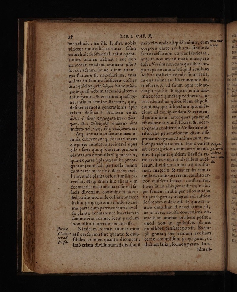 ———————————————— — phu der — te introducit : nx Me fruftra nobis videtur multiplicare entia, Ciim enim huic fabftantiali actui opera- tiones anime tribuat : cur non concedat eundem. animam effe ? Etcur actam. hunc alium abani- ma ftatuere fit neceffarium , cum Aut quid opo eft; Aóyoy hunc zrAa- $1X0V quafi actum fecundü alterias actus primi ,.&amp; vicarium quafi ge- nerantis in femine ftatuere , qui, definente motu generationis , ipfe etiam definat ?. Statuere. enim eLJNo T) eive 5 9 P ACTA EY OY &amp;Ao- yov: 86s QOelgedr  mrolnsay. ems qaa, 72. j2£01» C76 TIVaL eU T0 TOP Atq; ánimamáin femine hac o- mnia ef&amp;cere neq; formationem eorporis animati alterius.rei opus eífe :-fatis quoq; videtur. probare plantarum nonnullarü generatio ; qua ex parte àplantaavulfa propa- gantur;cum Ícil, particula anime cum parte materi coharens avel- litur, unde planta priori fimilis ex- crefcit. Neq; enim hic aliam v.m formatricem ab anima rófíz vel fa- licis diveríam. comminifci licet: fed potius hoc inde colligito rficüt inhoc propagationis modo abani- ma partecum parte corporis avül- fa plante formantur: ita etiam in íemine vim formatricem parcium non ullialii attribuendam effe, Forse Nimirum forma animatorum dE etfiperfe non fint quantz .&amp; divi- dif ife- fibiles : tamen quantae dicuntur; imo etiam diyidunturad divifioné ráteriz,unde aliquid animse, cum corporis parte avulfum, fimile &amp; fibi ncceffarium corpus fabricare, atq;ita novum aüimatü emergere foler.Verüm non cum qualibetcor- poris parte animz' aliquid avulfum ad hoc aptü eft; fed talis fit materia, litefcere, &amp; ad fuum opus feíe ace cingere pofsir. Iungitur enim ani- ma corpori,junétaq; retinetur jin- tercedentibus qdibufdam difpofi- tionibus, que fubje&amp;um aptum fa- ciunt ad füfcipiendam &amp; retinen- damanimams inter quas precipue eft calor nativus fuf&amp;cies, &amp; incer- togradu conftitutus.Vndeetiam Á- riftoteles generationem dixit effe primam vegetantis anima cum ca- teria. mus editusà matre ab eadem ave latar, dividitur. anima ad divifio- nem materie &amp; manet in ramo: undecxramoánterram condito ar- bor ejufdem fpeciei conftituitur. Idem fit in aliis per radices; ín als per femen ;inaliis per alios modos fic propagatio , ut apud rei rufticie Ícriptores videre eft. In quibus ta- men omnibus id neceffariüm eft, ut materia ávulfa.conveniens do- niicilium anima prabere pofsit ; uod non- in quibufvis plantis quodlibet praftare potet. Exem- pli'gratiag per ramum avulfum terre commiffum propagatur , ut dictum falix ; fed non pyrus. In a- nimali tant. r Diuta dicen adíüt mid fmi Qm n4: fübje tninei Wm