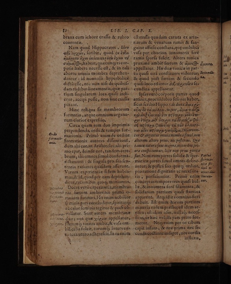 LIP... brana cum ichore craffo &amp; rubro contentz. , Nam quod. Hippocrates , libro «t De Y d y fcribit, quod c» &amp;dr]o. quéenoy Exe oxócusreo esi Ey ety 7 cota] (Gs, habeat, quecunq; ei cor- poris habere neceffe eft, &amp; in cali abortu omnia membra deprehen- dantur ; id nonnulli. hyperbolicé di&amp;ü effe , nec non nift de;quibuf- dam rüdibuslineamentis;quz par- tium fingularum loca quafi: indi- formatio, atque omnium:organo- rum clarior exprefsio, Circa quam rem duo imprimis perpendenda, ordo &amp; tempus for- mationis. Primó enimde ordine formationis autores diflentiunt, dum alicor,ut Ariftotcles;alii pri- 1o epat, deinde cor, tandém cere- Gu PU cftmaffa quedam carnea ex arte- rarum &amp; venafum. ramis &amp; fan- guine affufo conftans,que umbilic vafa per; chorion innumeris feré ramis fparfa fulcit. Altera tunica appellatur. He duztuniczin par- &amp; quod poft fetum &amp; fecundo *^ cundina appellantur. Ipfasveró corporis partes quod xg) AE s]ay:«g) $12 ziómppu 82V ETE- eo! &amp;éea,8O Ucesv.ya 0e uio QU- cd. mec meo Quirs]aj «8 T0) 6Aaeso- vov 802v seis oge y wopSpe,.Difeernun- tur C augentur omniamonbra [rmul,nom alterum altero prius; necpofferiu. Qué tamen natura funt sajora minoribus pri-. - era con[piciunturs licer mom prus genita brum;alii omnes fimulconforma-.. figt.Nimirum partes folida &amp; fper- Parte riftacuunt :;:&amp; fingali.pro fua fen- .. maticz partes fimul omnes deline- fperinao Fi tentia rationes quafdam afferunt... antur; &amp; pofteá Íao quzq; ordine, Au f.  Verum experientiz fidem habca- | pro ratione dignitatis acnece[sita- 5, 40 11u5,8: id;quod per eam deptehen- — tis , perfieiuntur. Primo enim /ineage ditur,rationibus quoq; mudiamus, » * * * EM. , fc minis pats concluditur, fpicitusqs ac.calor femigistegitur &amp; quafi ob- t. due y unà que vyogíoy appellatur, iov, fruiq; tótum ambit,&amp; vafa uni- bilicalia fulcit, eorumq; interven» tutotauteroadhsrefcic.In ea enim * conceptustempore tres.quafi bul- tor. le ,&amp;innumera feré filamenta ; &amp; folidarum partium: quaft ftamina apparent. Atq;idita omnino fieri debuit. Eft enim. harum partium máteria eadem praftoyeft idem ar- tifex ; elt idem ufus, nullaq; necef- ficas;ut hac velilla pars prius for- metur. Neqg;enim per o$ cibum capit infans, &amp; nec prima nec fe- cundácoétione indiget , ec cordis i influxu,