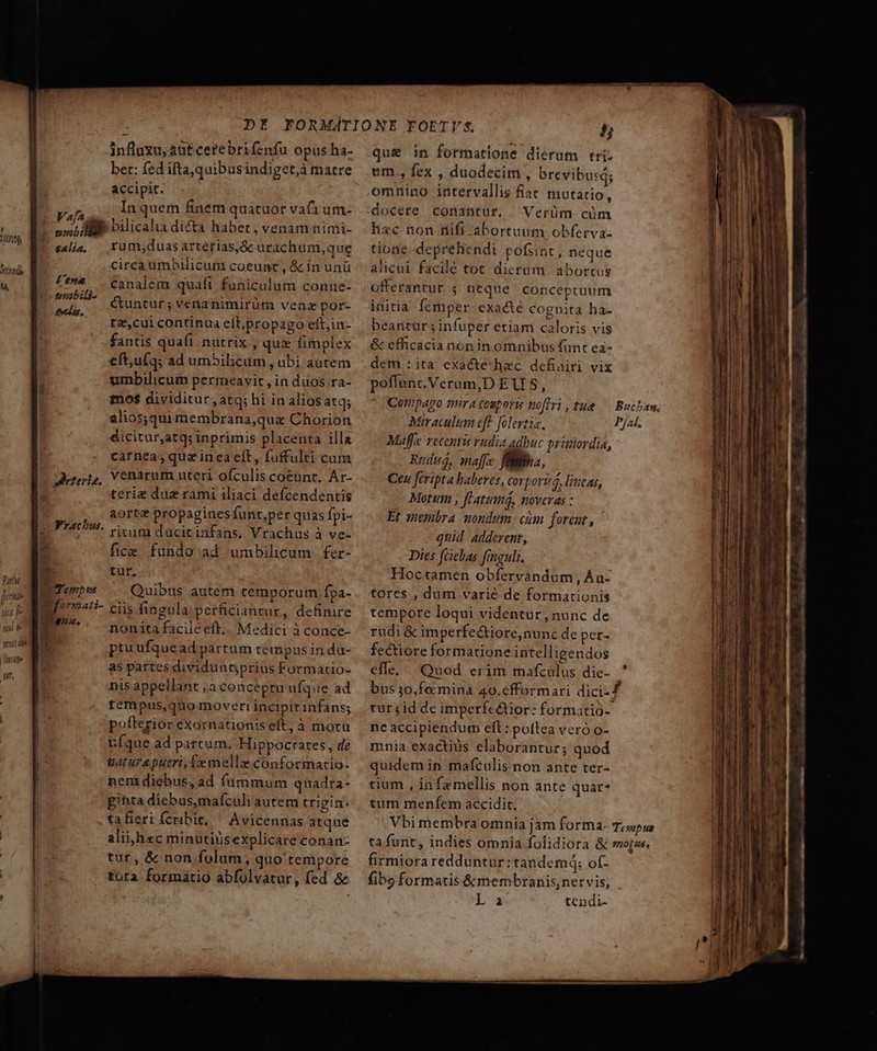 influxu, antcetebrifenfu opus ha- ber: fed ifta, quibus indiget, matre accipit. Vaf Inquem finem quatuor vafa um- Aj 4A . 235  : ^ Mili bilicalia dicta habet, venam nimi- nbi 7A E e4lia, | xumy;duasarterias,&amp;c ürac hum,que TM circa umbilicum coeunt , &amp; in unü u Ro ^** canalem quafi funiculum conne- Hw cuntur; vena nimirüm venz por- t&amp;,cui continua elt,propago eft,in- fantis quafi nutrix , quz fimplex eft,u(q; ad um5ilicum, ubi autem umbilicum permeavit, in duos ra- mo$ dividitur, atq; hi in alios atq alios;qui membrana,quz Chorion dicitar,atqs inprimis placenta illa carnea, qua in ea eft, fuffulti cum yere, Venarum uteri ofculis coeunt. Ar- terie duz rami iliaci defcendentis aorte propagines funt,per quas fpi- ritum ducitinfans, Vrachus à ve- fice fundo ad umbilicum fer- B- tur, BUTemp us Quibus autem temporum fpa- Ee ciis fingula perficiantur, definire E^. nonitafacilceft.. Medici à conce- ptuufquead partum tempus in du- as partes dividuntjprius Formario- nis appellant ,à conceptu ufque ad tempus,quio moveri incipit infans; ! pofterior exornationis eft; à mota | Gfque ad partum. Hippocrates, de |- at ura pueri, £x melle conformatio- | nem diebus, ad (ümmum quadra- | gitita diebus,mafculi autem trigin. | tafiertícribit, | Avicennas atque alii;hxc minutinsexplicare conan: tur, &amp; non folum, quo tempore Frachus. iff, , : que in formatione dierum tri. um., fex , duodecim, brevibutd; omnino intervallis fiat mutatio, docere conantur. ^ Verüm cüm h«c non nifi abortaum obferva- tione. deprehendi pofsint, neque ahcui facile tot dierum: abortus offerantur. ; neque conceptuum initia femper- exa&amp;te cognita ha- beantür ; infuper etiam caloris vis &amp; efficacia non in omnibus funt ea- dem : ita exacte-hzc defiairi vix poffunt.Veram,D EU S, Cottpago TTA COKPOYE pofl, tue — Buchaw, Miraculum eft. folertia. Pjat. Maffe recentis vudia adbuc primordia, Rttdus, mae fb, Ceu firipta haberes, corporia, lincas, Motum , featumá, moveras : Et membra. nondum. cám forent, quid adderent, Dies fciebas fmauli. Hoctamen obfervandum, Áu- tores , dum varié de formationis tempore loqui videntur, nunc de rudi &amp; imperfectiore,nunc de per- feéctiore formatione intelligendos effe. Quod erim mafcalus die- ' bus 3o,fo:mina 40.cfformari dici-Z tut; id de imperfe&amp;iore formatio- ne accipiendum eft: poftea veró o- mnia exactius elaborantur; quod quidem in. mafculis non ante ter- tium , infemellis non ante quar tum menfem accidit. Vbi membra omnia jam forma- Topss ta funt, indies omnia fulidiora &amp; moras. firmiora redduntur:tandemq; oí- p LOIS ne RR RR m M. M C EE We ND —