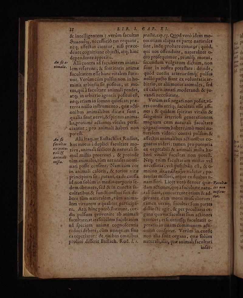 — —— M € MÀ MÀ Á —Q— 4 fit facaltas ex iatu- rali e Animali mílla. E IB. &amp; intelligentem : verüm facultas Succ, neceffarió eas requirit, neq; affectus cientur, nifi prace- dente cognitione objecti, atq; hinc dependente appetitu. Aliicontra ad facultatém anima- lem referunt, &amp; fentientis animae facultatem e(fe hanc vitalem ftatu- unt, Verüm cüm pulfus non in ho- minis arbitrio fit pofitus, ut mo- tus,qui à facultate animali pendet, atq; in arbitrio agentis pofitus eft, neq; etiam in fomno quiefcat; pra- terea nullo inftrumento , qua acti- onibus animalibus dicata funt, qualia fant nervi, &amp;fpiritus anima- lis,proximé actiones vitales per&amp;- ciantur ; pro animali haberi :non poreit. — Aliiraq;ut Euftachius Rudius, hos motusà duplici facultate mo- tiva , animali fcilicet.&amp; naturali fi- mulamiftis.procreari , &amp; proinde nari poffe cenfent. Nam cüm cor in animali caloris, &amp; totius vire principium fit: putant,ea de cauffa id non folàm in medio corporis fe- dem obtinere, fed &amp;in cunctis fa- cultatibus &amp; fun&amp;ionibus fuis.de- lem virtutem ze qualiter participa- re, Átq; hinc porró ftatuunt, cor- dis pulfum provenire ab animali facultate;atirafcibilem facultatém ad fpeciem anime cognolcentis reducidebere; cüm nunquam fine prolixe differit Euftach. Rud. /. ;. CIN UXE practic.cap.s2. Quod veró idem mo- tus ctiam aliqua ex parte naturales fint , inde probare conatypr ; quód, qui nos offendunt, naturaliter o- dio profequimur, primij; motus, fecundum vulgatum dictum, non funt in noftra poteftate : deinde, nullo paéto fiant ex voluntatis ar- bitrio, ut alii motus animales, fed ex calorisinnati moderandi &amp; ja- vandi necefsitate. Verüm etfi negati non pofsit,vi- tes cordis utriq; facultati effe affi- nes ; &amp; quidem fpiritus vitalis &amp; fanguinis arteriofi generationem magnam .cnm naturali facultate cognationem habere;imó meré na- turalem videri: contrà pulfüm &amp; affectus animalibus actionibus co- gnatos videri:tamen pro potentia ex vegetabili &amp; animali mifta ha- beri vitalis facultas non poteft. Neq; enim facultatum miftio vel neceffaria , vel pofsibilis eft, &amp; o- mnino dxaraAA42]ov vidctur ; po- tentias mifceri, atque ex duabus u- juvante..eam inotu mufculorum: ramen utraq; facultas fuas partes diftincte agit ,'&amp; per peculiaria ot- gana quavis facultas fuas actiones exercet ; etfi utriufqs facultátis o- peratioinunam communem acti- onem confpiret. Verüm in;corde non alia fant organa, quz folüm naturalijalia, qua animali facultati : infer- - j|