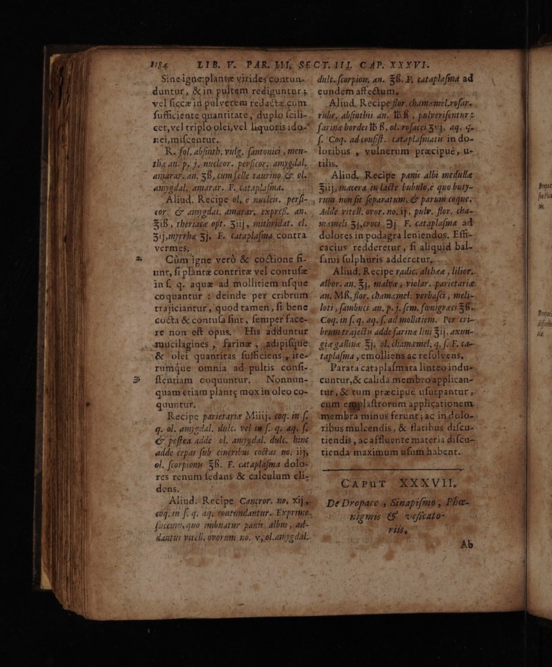 —^—€—-—-X—  E A Sineigne:plante vixides'contun- duntur, &amp;in pultem rediguntur; vel ficce1d pulverem redacta cum. fufficiente quantitate, duplo ícili- nei,mifcenrur. R.. fol. abfintb. vulg. (antouici , men- aA AT, 4p. SD, cum felle taurino. Gr. ol. amyadal,. amarar..F. cataplafma. Aliud. Recipe ol, e nuden. perft- cor. C aimyedal, Amara, expref.. qn. Zi, theriage opt. 5uj , enitimidat.. cl. 3ij,myrrbe 3j. EF. Cataplafima. contra vermes; ge. on Cüm igne veró &amp; coctione fi- inf q. aquead mollitiem ufque coquantur : deinde per cribrum trajiciantur, quod tamen, fi bene cocta &amp; contuía fint, femper face- re non eft opus. His adduntur mucilagines ,' farine , .adipifqtie rumque omnia ad pultis confi- flenuam coquuntur, . Nonnun- quam étiam plante mox in oleo co- € poflea adde | ol, amygdal. dulc.. bine «dde, cepas fub: cineribus. cocbas mo; 1j, ol, fiorpions SR. F. cataplüfma dolo- res renum fedans &amp; calculum eli- dens. fca quo imbtatur pants. albus , ad- dult. fcorpioi, an. S8. F, cataplafina ad cundem affectum, Aliud. R ecipeyfor,chamemel.rofar. rubr, abfiutbii. an. 3, palverifentur z ferite bordeidb f, ol-vofacei. Sv], 24..4- f. Coq. ad confit .. cataplafmuatus in do- loribus. ,. yelnerum: pracipue ,.u- Aliud, Recipe pans albi nedulle Sii tiavera. in lacte bubulo,e quo buty- y rum non fit. feparatum, €? parum ceque. Adde vitell, ovor. no.My, pulv..flor, cha- sucineli Sj, cro. 3j. F. cataplafma ad dolores in podagra leniendos. Effi- cacius redderetur, fi aliquid bal- fami fulphuris adderetur, Aliud, R ecipe radic: alib«e , lilior. albor. an. $j, talya y. violar. parietarie: an. MA, flor. chamcmel. vesrbafat., meli- loti , fambuci an. p. 3. fem. fenigraci S8. Ceq. in f.q. 4q. f[- ad anollitiem.. Per cri- brin trajetiu addefarine lini 51), axium- gie galline Sj, ol Chamamel. q. (AF. cae taplafma , emolliens ac refolyens. Parata cata plafmara linteo indus cüntur,&amp; calida.membroapplican- tür,ó tum praecipue ufurpantur; cum emyplaftrorum applicationem: membra minus ferunc;ac indolo- ribus mulcendis, &amp; flatibus diícu- tiendis , acaffluente materia difcu- tienda maximum ufum habent. CAPUT XXXVIT. De Dropace 4 Sinapt(mo; Pbo- li t ? nipuns 69 veficatos rit, Ab