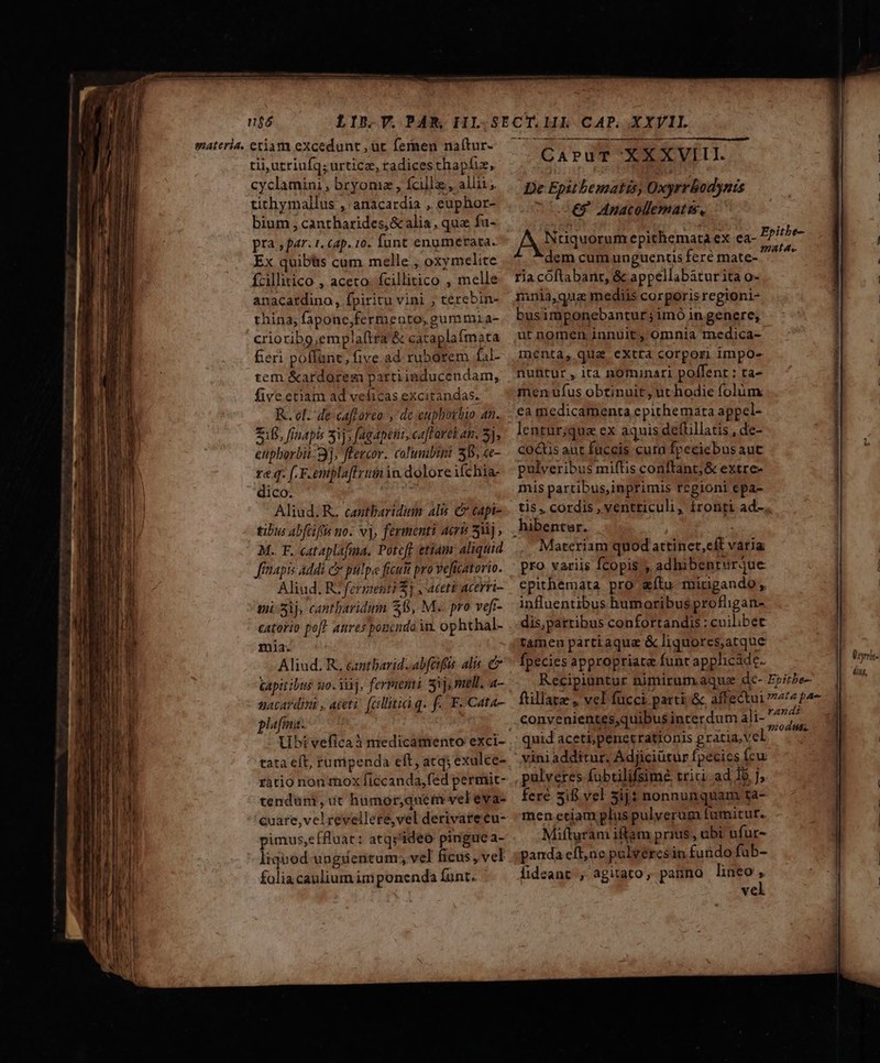 n$ó tii,utriufq;urticz, radices thapfuz, cyclamini, bryomz, fcilla, aliii; tithymallus , anacardia , euphor- bium , cantharides,&amp;alia , quz fu- pra , par. t. cap. 10. funt enumerata. Ex quibüis cum melle , oxymelite Ícillirico , aceto: fcillitico , melle anacardino , fpiritu vini , terebin- thina, fapone,fermento, gummia- crioribg,emplaftta'&amp; cataplafmata feri poffunt, five ad ruborem fal- tem &amp;ardorem partiinducendam, five etiam ad velicas excitandas. R. ol- de caftoreo. , de euphovbio an. £16, finapis 51, fagapeni, ca]Fores at, 5], euphorbii-3], flercor. calumbini 58, ce- re q. f. F.enpla[ffrimin dolore ifchia- dico. Aliud. R. cantbaridum alis C capi- tibus abfüiffis no. vj, fermenti acri 3j , M. F. cataplafina. Poteff etiam aliquid finapis Addi c pulpe ficut pro ve[tatorio. Aliud. RI ferment? $] , aceti acerri- mi 5ij. cantbaridum $8, M. pro vefi- catorio pof? attres poncnda in. ophthal- mia. Aliud. R., cantbarid.-abfcifüs alis. C Capitibus u0.1ij, fermemi 5j mel, a- nacardini , aceti: [cillitic.q. f. F-Cata- plafna-. Ubi vefica à mredicamento exci- tata eft, tumpenda eft, atq; exulce- ràtio non mox ficcanda,fed permit- tendum, ut humor,quem vel eva- cuare,vclrevellere,vel derivarecu- pimus,efRluat: atqs'ideo pingue a- liquod ungdentum; vel ficus , vel faliacauliumimponenda funt. De Epit bematis; Oxyrrbodynis 7Ó0€* Mnacollematis, dem cum unguentis fere mate- ria cóftabanr, &amp; appellabatur ita o- mnia,qua mediis corporis regioni- busimponebantur; imó in genere, ut nomen innuit, omnia medica- menta, qua extra corpori impo- nuftur , ita nominari poffent : ta- men ufus obtinuit, ut hodie folüm lentur;qua ex aquis deítillatis , de- coctis aut fuccis cura fpecicbus aut pulveribus miflis conftant; &amp; extre- mis parcibus,inprimis regioni epa- Materiam quod attinet,cít varia pro. variis fcopis , adhibenrurque epithemata pro &amp;fítu. mirigando , influentibus humaribus profligan- dis,parribus confortandis : cuilibet tameu partiaqua &amp; liquores,atque fpecies appropriate funt apphcádc. convenientes,quibus interdum ali- quid aceti; penecrationis gratia; vel viniadditur. Adjiciütur fpecics fcu pulveres fubtilifsimé trici. ad Jb. ], fere Sif. vel 5ij t nonnunquam ta- men etiam plus pulverum fumitur. Mifturan iffam prius, abi ufur- panda cít,ne pulvercsin fundo fuüb- fideant , agitato, panno lineo : vel