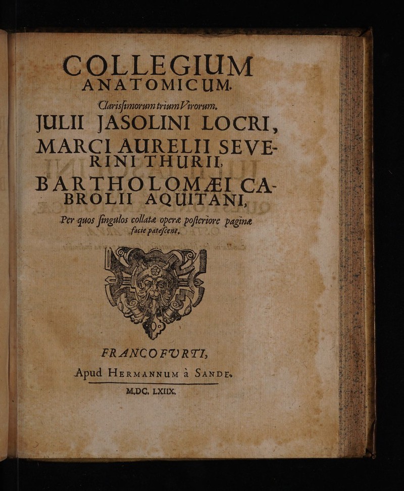 COLLEGIUM ANATOMICUM. Clarisfumorum trium Viorum, JULII JASOLINI LOCRI, MARCI AURELII SEV E- (^: RINITHURIL BARTHOLOMEI CA- - BROLII AQUITANI Per quos f gngtlos collate opeve pofleriore pagina facie Ped CEU, j imf mii FRANCO F'ORTI, Apud HEsRMANNUM à SANDE M,DC. LXIIX. ^ -» ix zi m SA - om * E^ z an -— a: 5. ca » Pu A 3 — m Dec. E üt: E $us Ps  WT E: É - ves m - Pieds EAS uus vm E 2 Eur - Tee pu e apt REDUES E RCR Yes SAUE ea fü Pig kenpvare es e A. mueccee, 7 ones elm EUREN IM Meme LU A E CD D E x emo mi s c tm g ro B EOET dob eset re m cmm en E Nom ——— --  Morem x T T E 5 EM  : » Dites 4 T ———————M €