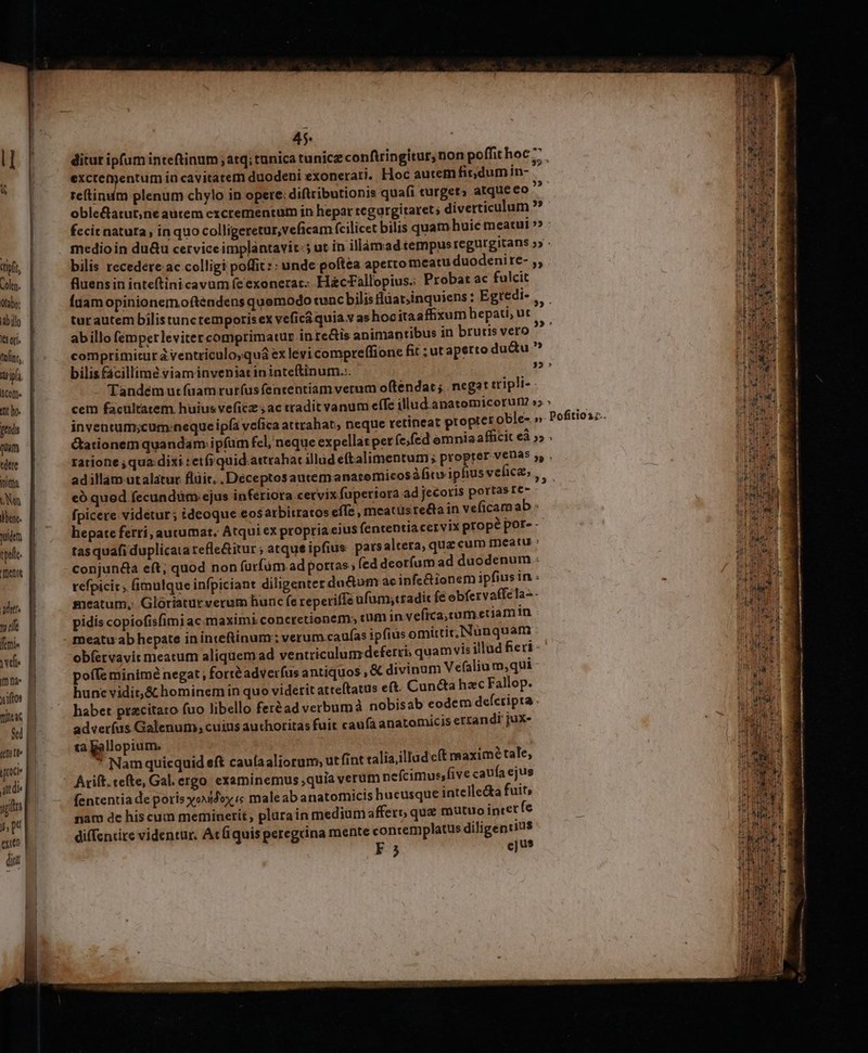 ipft, Colep. tabo: idbillo Tu tofint, iripla licor. tnt ho. pttds Y edtre nima SEN benc. uide tol. Dente | dts y tlt fimi wee (m na yu iftos miteac 0 ice tdi yg T pa eue diu 45. reftinum plenum chylo in opere: diftributionis q uafi fluens in inteftinicavum (e exonerat: HacFallop ius; Probat ac fulcit bilis fácillime viaminveniat in inteftinum.:. LP MN 25 2: 2) 325 » adillàm utalatur flüir. . Déceptos autemanacomi cosáfico ipfiusvefice, fpicere videtur; ideoque eos atbitratos effe , mea tasquafi duplicata refle&amp;itur; atque ipfius parsa meatu ab hepate inintefinum: verum caufas ipfi obfervavit meatum aliquem ad ventriculum üs omittit; Nünquam ta Ballopium. Arift. tefte, Gal. ergo examinemus quia verum n fententia de poris yoxidox i&amp; maleab anatomicis efcimussfive caufa ejus F 3 cu? 23 : 25 - Ud --— à Pu ped $ A ^d - i : Tecra LI epe; FS 41s n : P egent nas m Necid DI e e et qotdbxeelt Gum MUEL EUDUEIAt S | É - ; A FERMEN NUM sDEIDEMMM LEE LL ait ttt