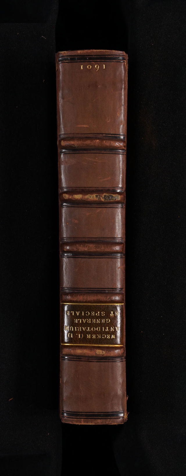 No text description is available for this image