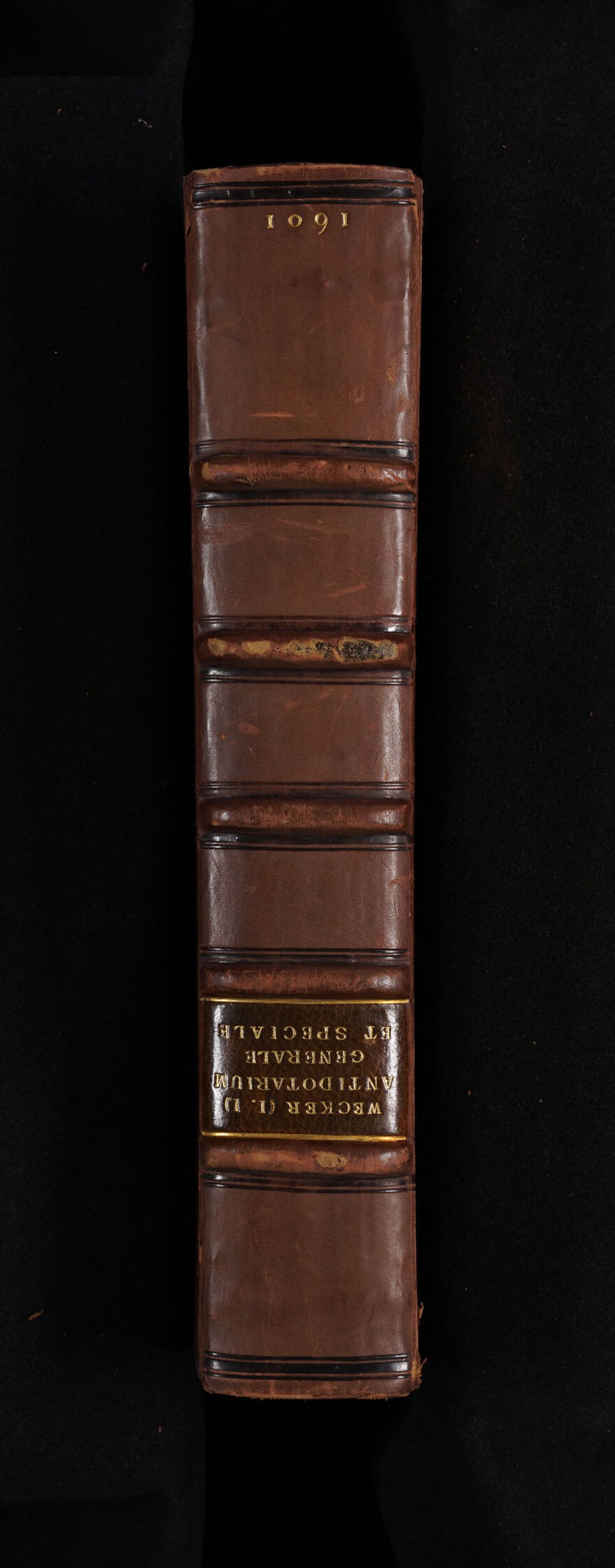 No text description is available for this image