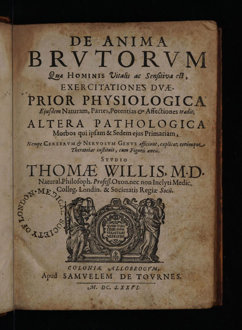 DE ANIMA BRVTORVM] Oe HoMiNIs Ural ac Senfiiva eil, EXERCITATIONES DV. PRIOR PHYSIOLOGICA Eju[dem Naturam, Partes,Potentias c» Affe&amp;tiones tradit; ALTERA PATHOLOGICA Morbos qui ipfam &amp; Sedem ejus Primariam , - Nempe CEREBRVM ? NERVOSVM GENYS afficiunt , explicati eorumque o Therabeias in[lituit , cum Fiauris ene. STYDIO THONUE WILLIS. M.D- Natural.Philofoph. Profeff.Oxon.nec nonInclyti Medic, XUME yeoleg- Londin. &amp; Societatis de Socii. me Ee M08 6 ie . ————— —— É— —PÓ—À m EXTUS (PERS DA 9 Y COLONIA XXL OG AS Apd SAMVELEM DE TOVRNES, SAM. DC.LXEXFI.