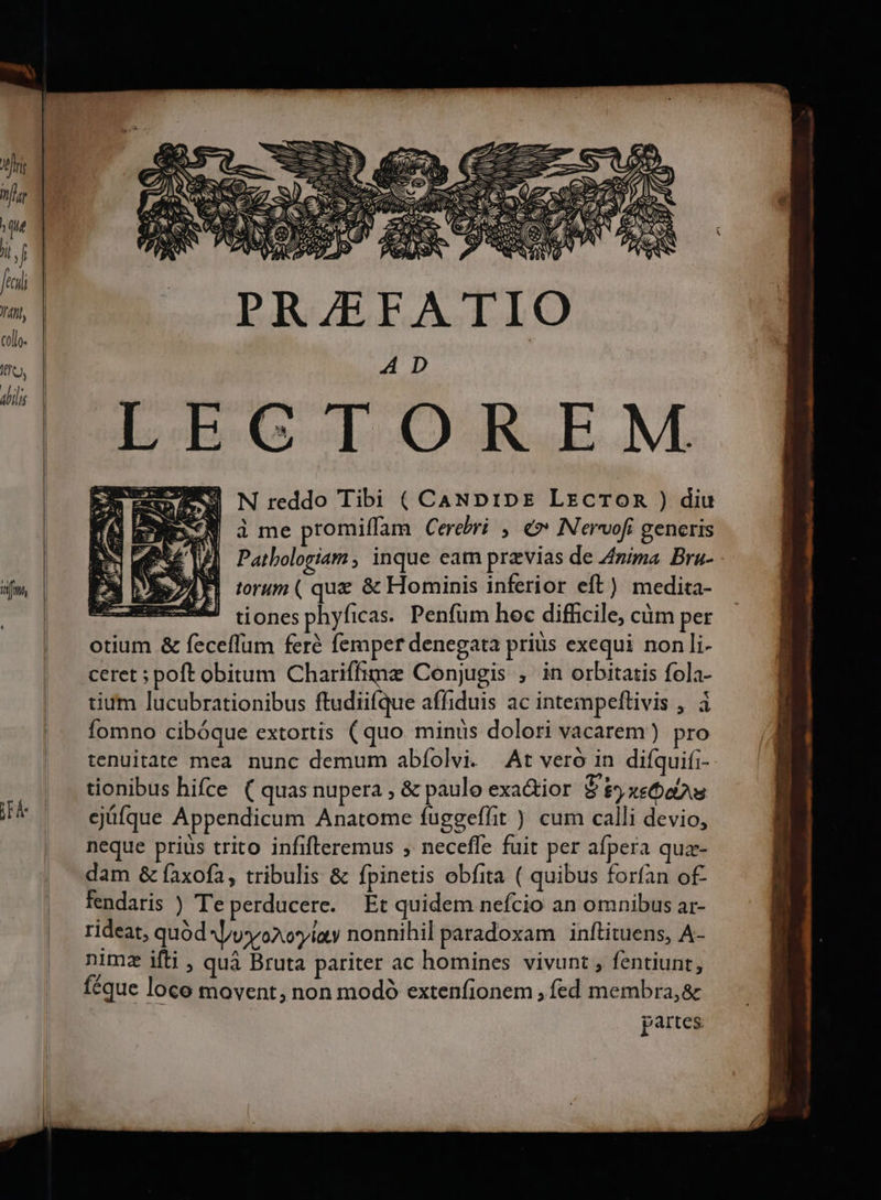 fimt, Ce za CAM EDI D E cse 2727 À S s M SS . d m 1 339 Cal Im s y AMOR (MS. ! (e U TM, N reddo Tibi ( CaANDrIDE LrcrToR ) diu à me promiffam Cereri ,. e» INervofi generis (PE 14] Patbologiam, inque eam pravias de Zima. Bra- IBAR| torum ( que &amp; Hominis inferior eft ) medita- 9 tionesphyficas. Penfum hoc difficile, cüm per otium &amp; feceffum ferà femper denegata prius exequi non lli- ceret ; poft obitum Chariffime Conjugis , in orbitatis fola- tium lucubrationibus ftudiifque affiduis ac intempeftivis , à fomno cibóque extortis (quo minüs dolori vacarem) pro tenuitate mea nunc demum abfíolvi. At vero in difquifi- tionibus hifce ( quas nupera , &amp; paulo exa&amp;tior S £* xe aas cjüfque Appendicum Anatome fuggeffit ) cum calli devio, neque prius trito infifteremus ; neceffe fuit per afpera quz- dam &amp; faxofa, tribulis &amp; fpinetis obfita ( quibus forfan of fendaris ) Te perducere. Et quidem nefcio an omnibus ar- rideat, quód Ausyo2.o*ylaty nonnihil paradoxam inftituens, A- nimz ifti , quà Bruta pariter ac homines vivunt , fentiunt, féque loco movent, non modó extenfionem , fed membra,&amp; partes | |
