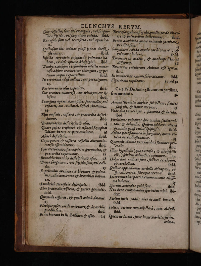 m ve[petiu, funt vel exanguia , vel[angui- nea frigida, vel fanguinea calida. ibid. Exanguia fut vel. tevreffria , vel aquatica. 12. à; Qwbufque illis animas quaft 3gneas. ineffe , n ejfendi ! ibid offenditur. ^ Infcta tevreffria cujufsnodi* pulmones ba- Bombyci,aliifque cenfmilibus 1nfetlis nusne- vof ad[unt trachea:cor oblongum , per totum corpus exporvetlum. ibid. Iis cevebrum adefl nullum, aut perexiguum. 13. Partim insjs ufus exponitur. ibid. Cur trachea numero[&, cur oblongum cor ijs infunt. | ibid. £xanguia aquaticayaut pifces funt molles,vel teflacei, aut craslacel. Oflrei Anatome.,. 14s j 1 Ejus mu[culi , vifcera , c pracordia defcri- buntur. ibid. Branchiarum defcriptio ci ufus. 1j Quare pifces cruflacei. teflacei Lymphas ubigue 1n toro corpore continent. . O16 Aflaci defcriptio. .. ibid. Cujus partes,c; vifcera ve[petln Aliorum in- ver[(a e[Je videntur. ibid. £jus cerebrumyvifceraspartes [bermatica, ci pracordia exponuntur. Bruta (anguinea , vel frigida ftyvel cali- da. 19 E prioribus quedam cov biventre ci» pulmo- 5ne4 , alia univentre cy brancbias babent. 20. Ejus pracordiavi[cera, cy partes genitales. ibid. j Quomodo vefpirat , & quali animá dotatur. 33 Plerique pifces corde univentre,e branchiis praditi fan. ibid. Branchiarum in iis (yutlura Quia i4 Bruta[ancuinea frigida qualia eode bivenz tre (c pumoribus izsiruuntur. ^. ibid. Bruta amphibia quare urinandi facultate , pradita fant. 2j Sanguinea calida omnia cor biventve e pulmones babent. .. ibid. Pau/mones in avibus , ci quadrupedibusut differunt. 26 Brutorum calidorum Animas. effe [272 ibid. In bomine bac vationi[ubordinatr. — ibid. Figurarum explicatio. 27.4d 32 C^ r.IV.De AnimgBrutorum partibus, five membris. 3 Anima Brutalis duplex. fübjetlum fcilicet Janguis, ef liguor nerveus. 3i Vnde duapartesejus , flammea ci Incida. ibid. Funttiones principes due tantim fcilicet vi- talis c animalis. Quibus addatur altera genitalis quaft totius epiphyfis. ibid. Anime pars flammea in Jangume , quem re- vera accendi oflenditur. den Quomodo Anima pars Iueida 6 flammea pro- «cedit ibid. Illius bypoffafin( que extenfa , co divifibilis est , ) [piritus animales conffituunt. 34. Hujus dua. vadices fant fcilicet cerebrum, € cerebellua. ibid. Quibus appenduntur medulla oblongatz , c fpinalis,nervi, fibrague nérvea* — ibid. Inter omnes bas partes communicatio eiii ma babetur. 3$ Spiritus animales quid funt. ibid. Non bene comparantur. Jpiritibus vini. ibi- dem. Melins lucis vadis a£re ac aua. intextis. ibid. Pellent virtute tum objetlva , tum atlivA. ibid. Tguem ac lucem , ficut in mechanicis, fic in- anina- prn n Jj piti hut tt mile J eh pió Em r gn un n CA ii quin nota) L7) tio (rri té. Organ Uc himc pp Hur | mn Qui I dfc Vien 7 Anima, irá Moulin Iit, Ont Ti dem, Aw pi fin. 1 fp 4 nr,
