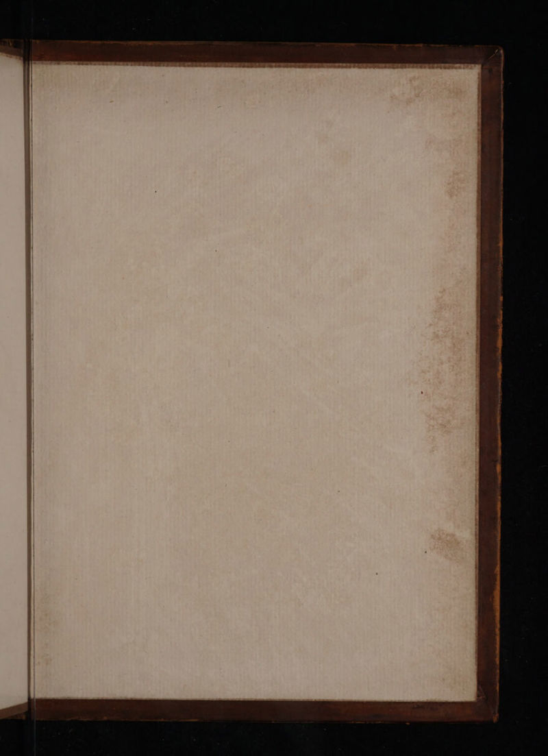 PM) LAomA(R etis ies de